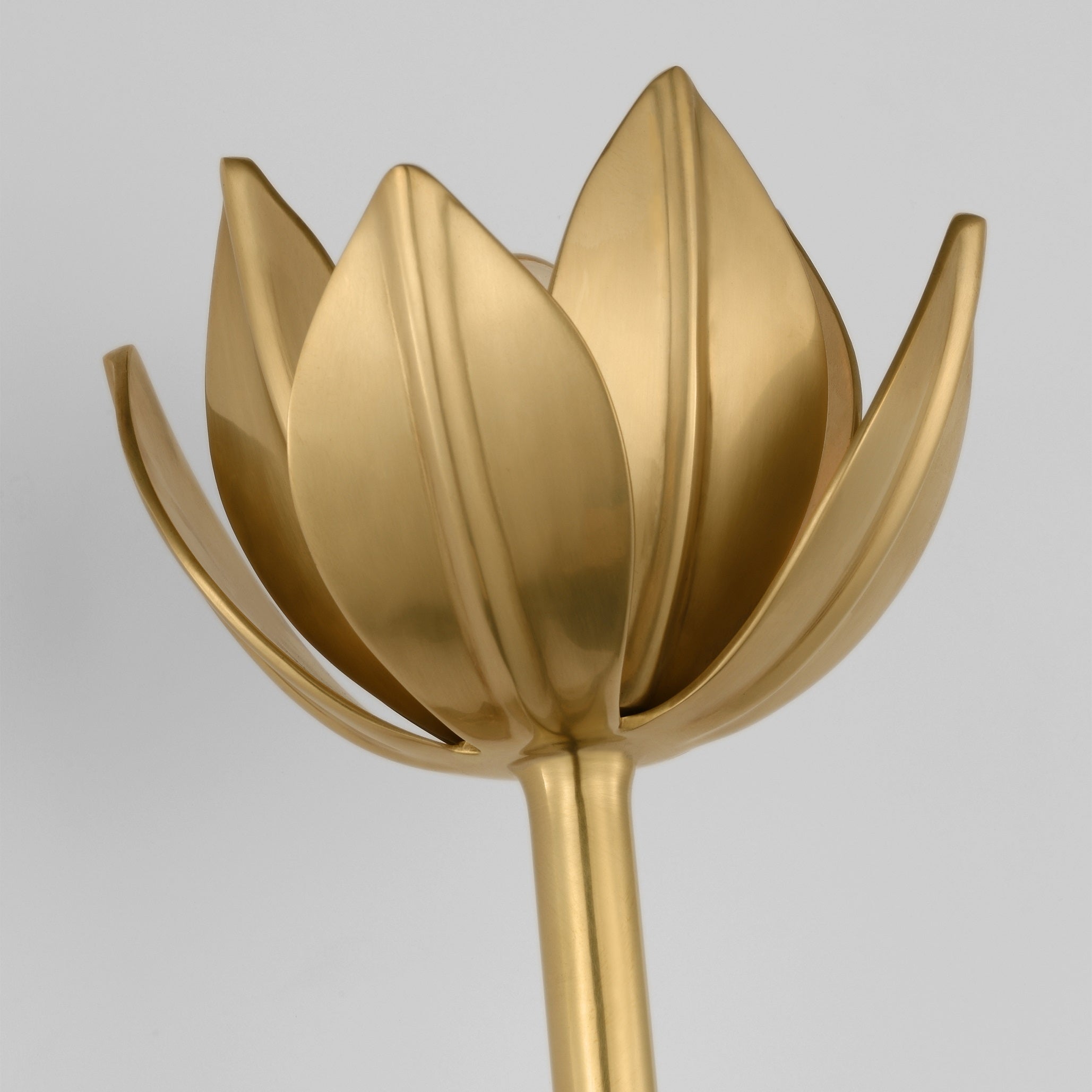 Floral Wall Sconce with Plaster Finish – Brass Accent Decorative Wall Light
