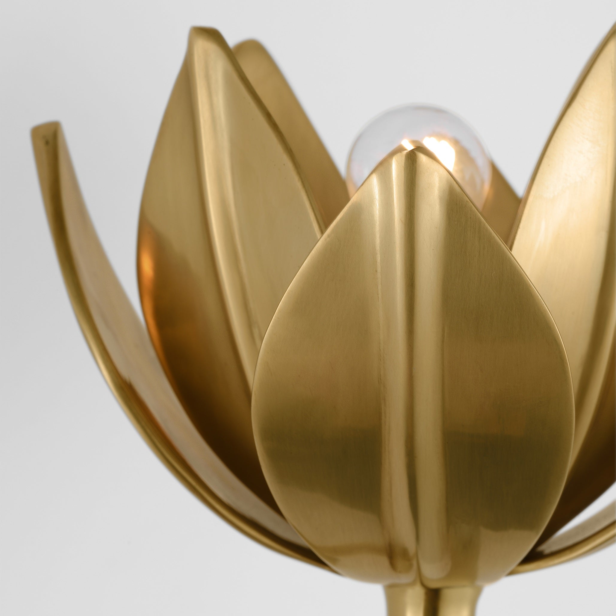 Floral Wall Sconce with Plaster Finish – Brass Accent Decorative Wall Light