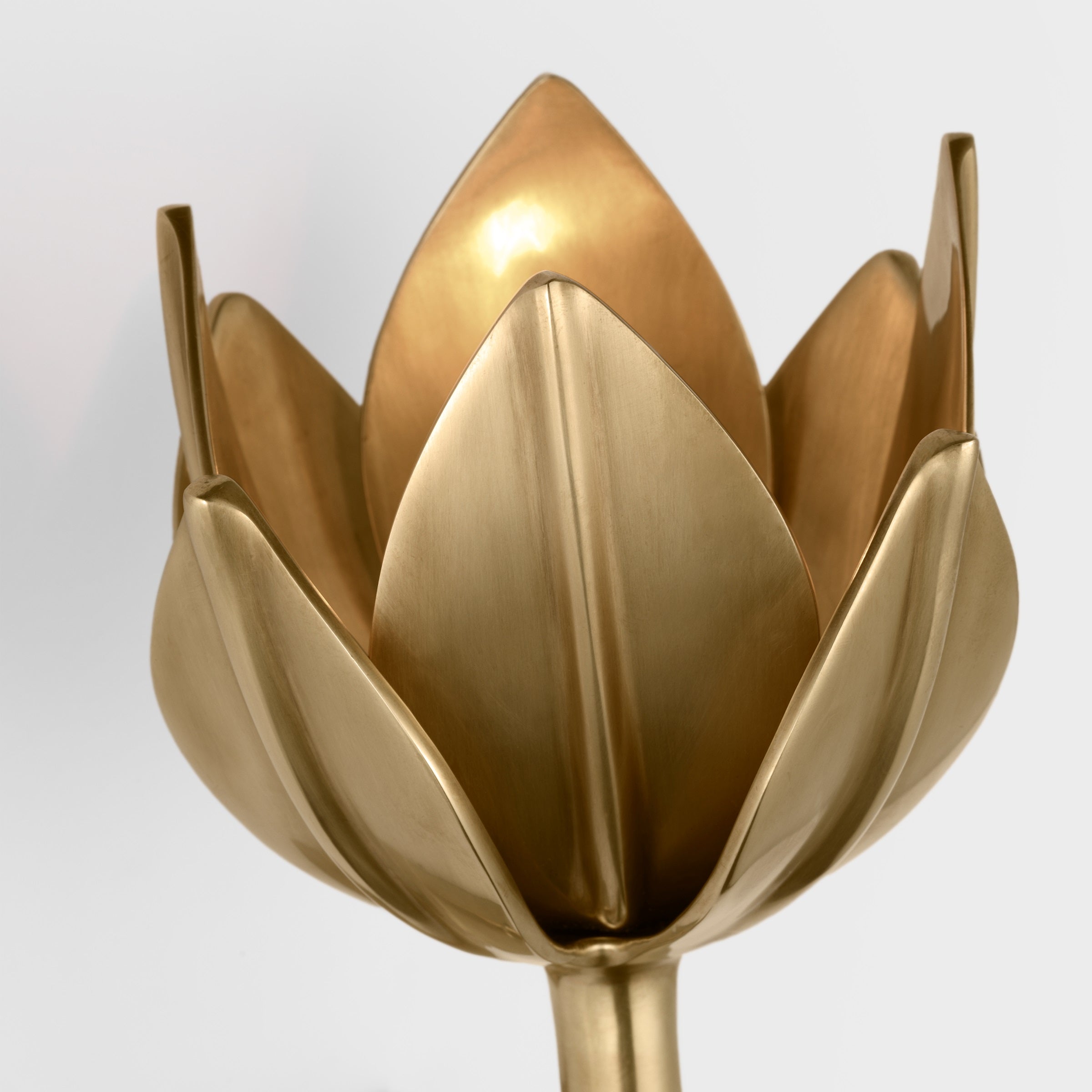 Floral Wall Sconce with Plaster Finish – Brass Accent Decorative Wall Light