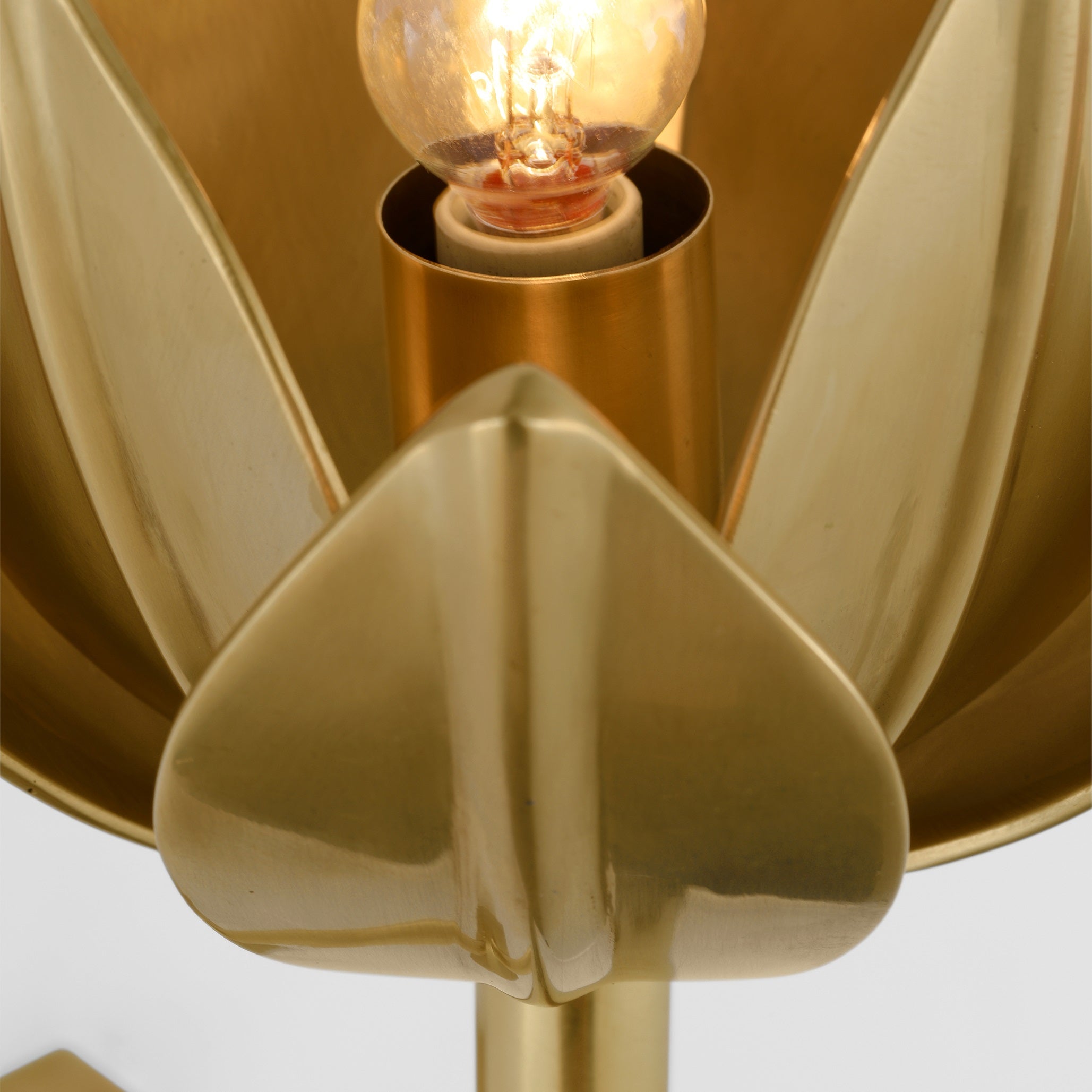 Floral Wall Sconce with Plaster Finish – Brass Accent Decorative Wall Light