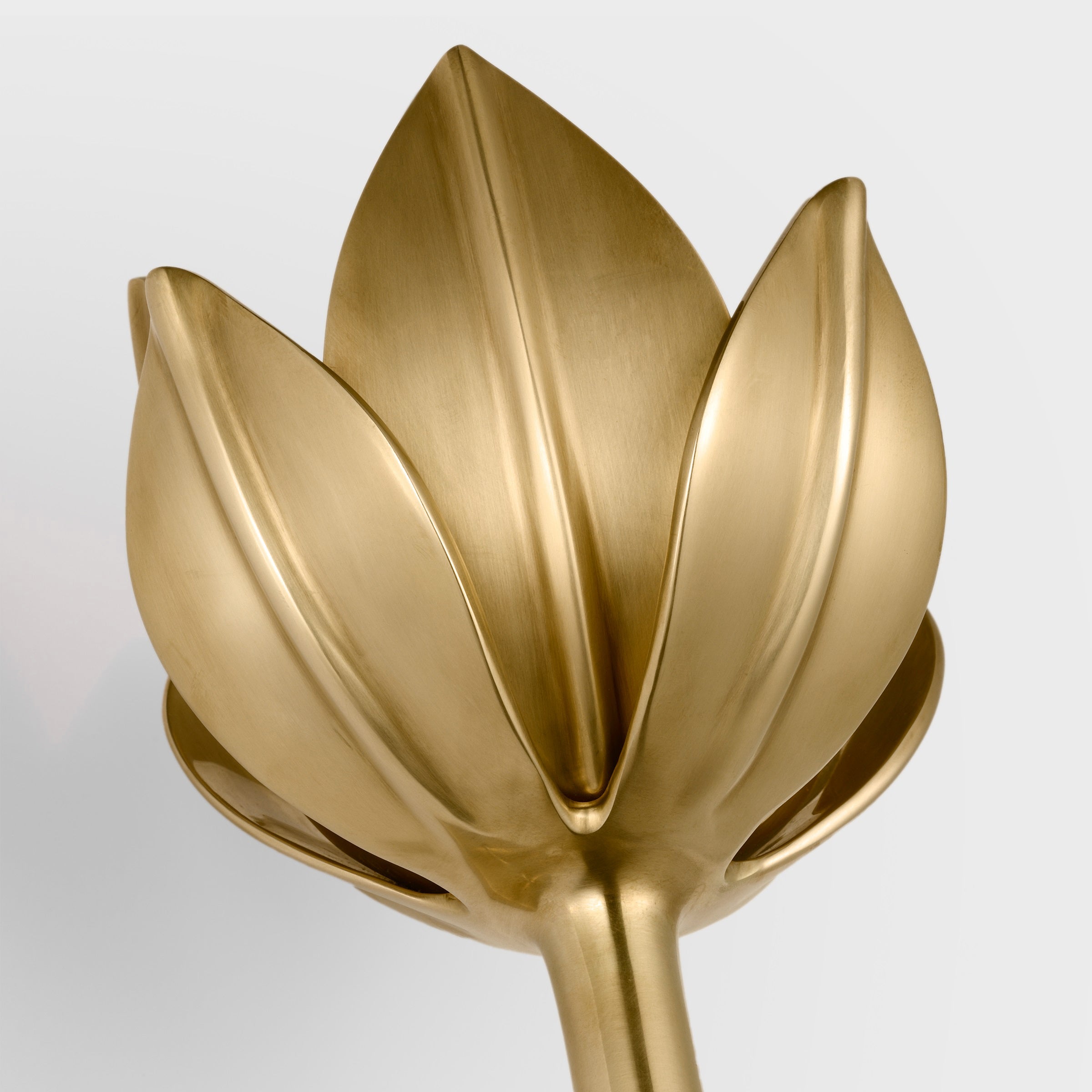 Floral Wall Sconce with Plaster Finish – Brass Accent Decorative Wall Light