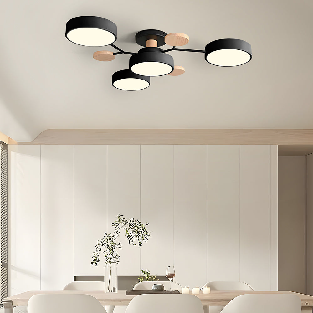 Contemporary Round LED Ceiling Light for Living Room