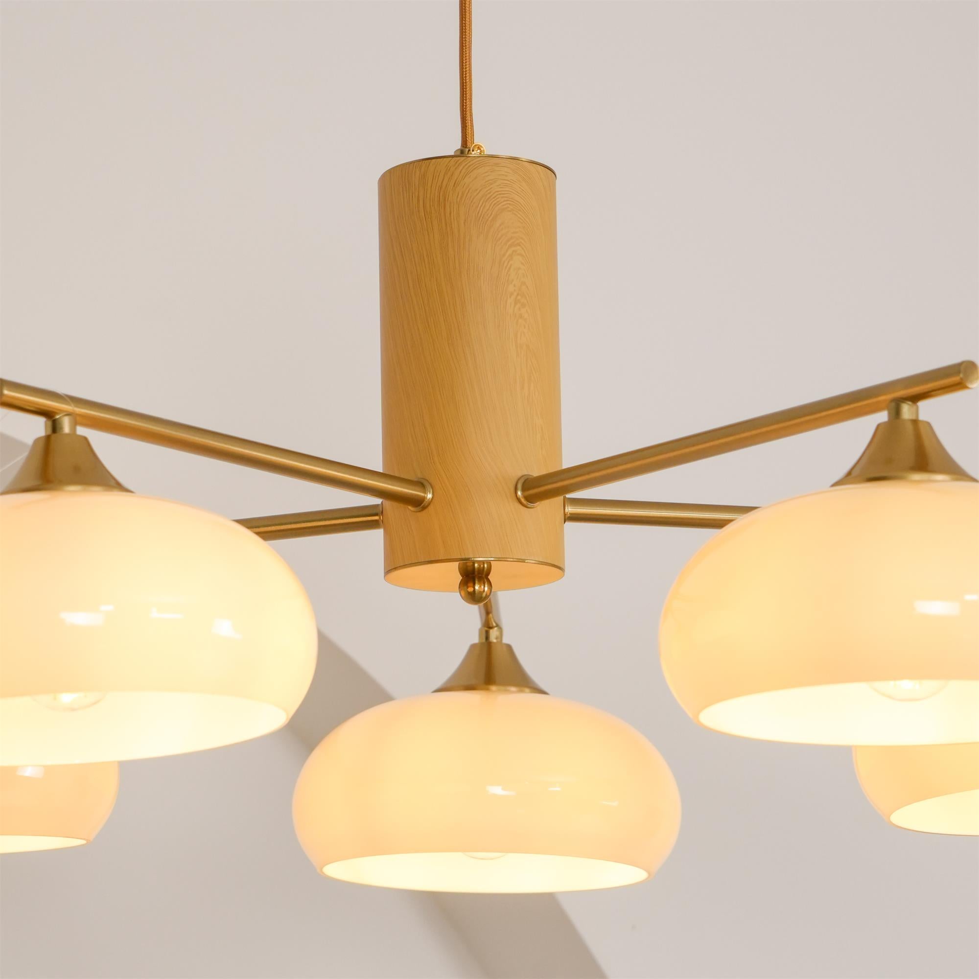 Modern Elliptical Persimmon Chandelier – Ceiling Light Fixture