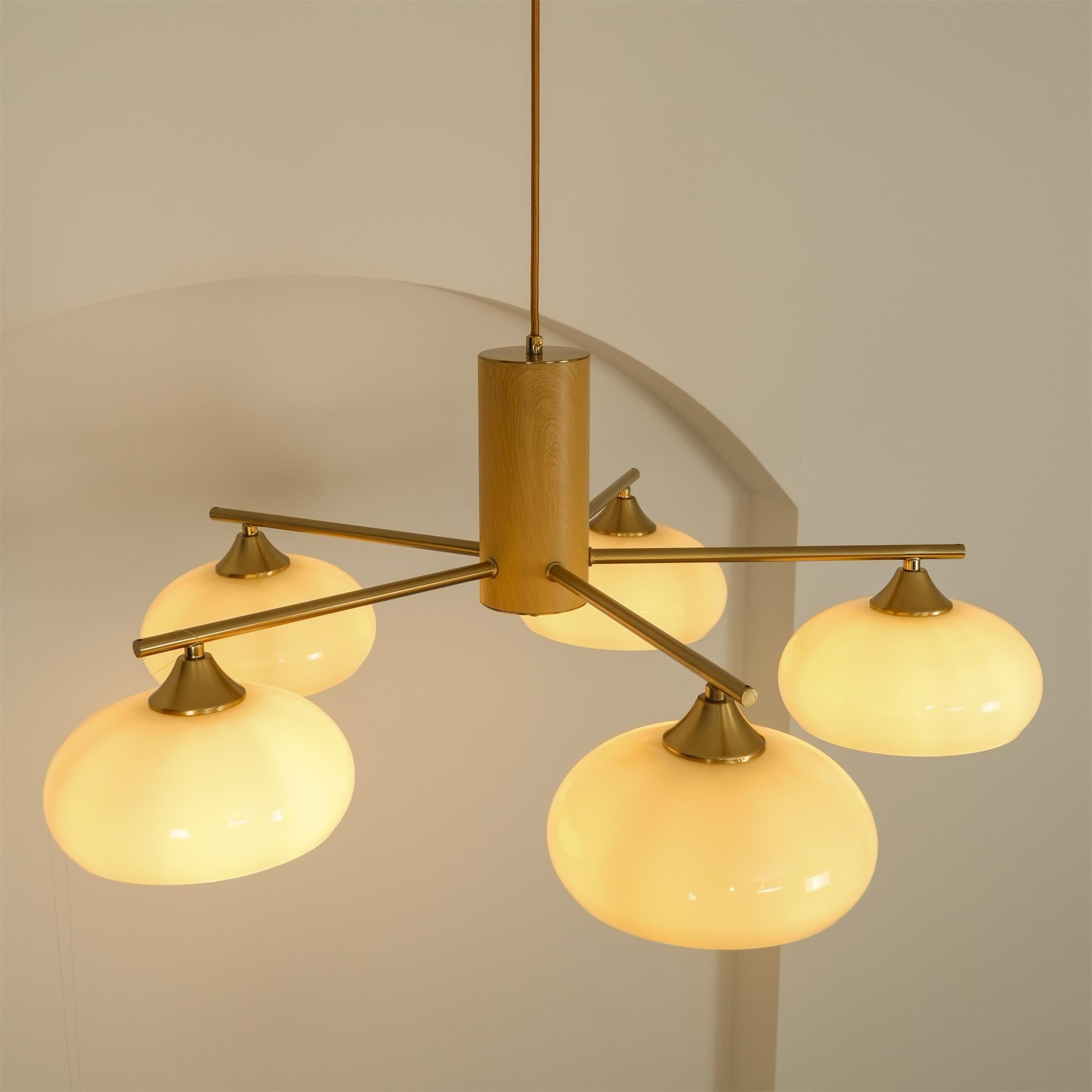 Modern Elliptical Persimmon Chandelier – Ceiling Light Fixture