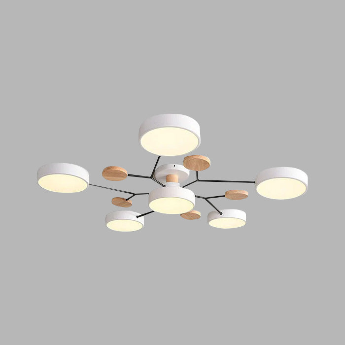 Contemporary Round LED Ceiling Light for Living Room