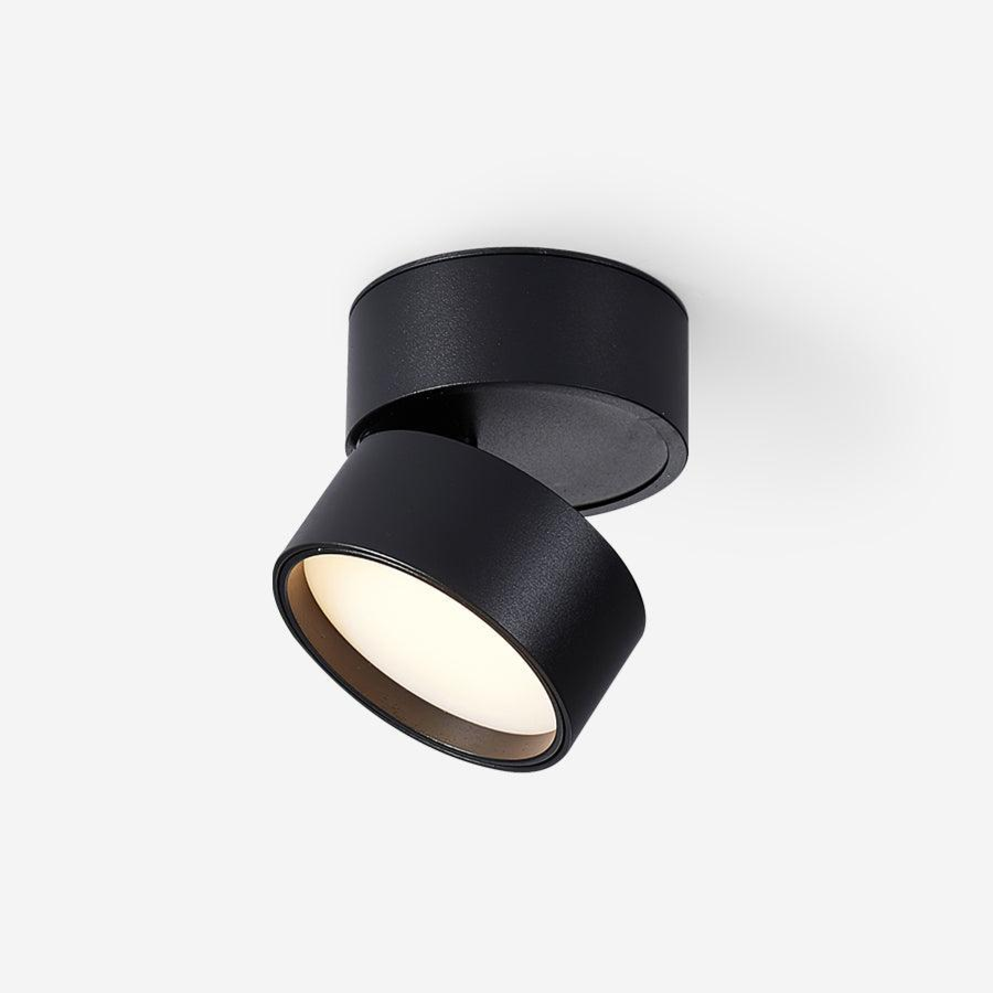 Surface-Mounted LED Ceiling Light