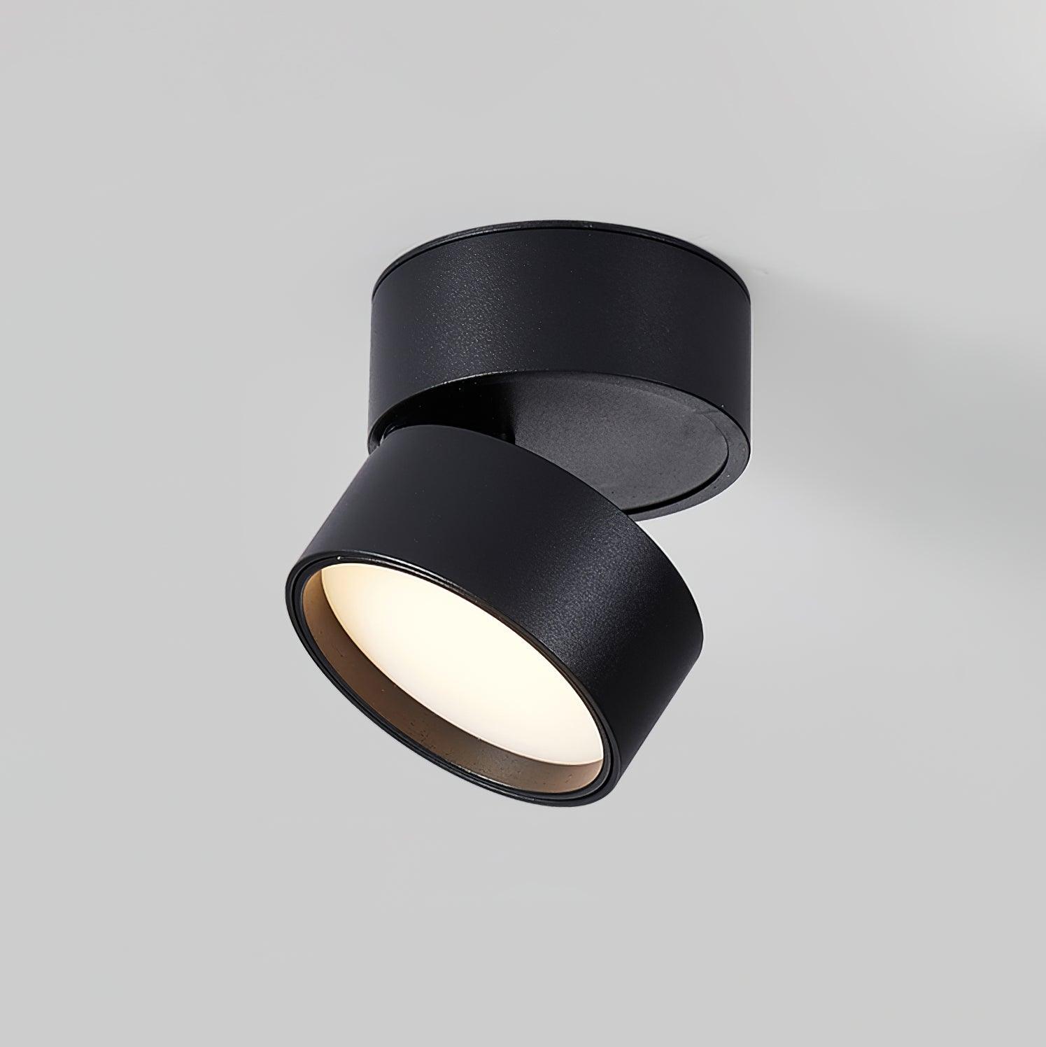 Surface-Mounted LED Ceiling Light