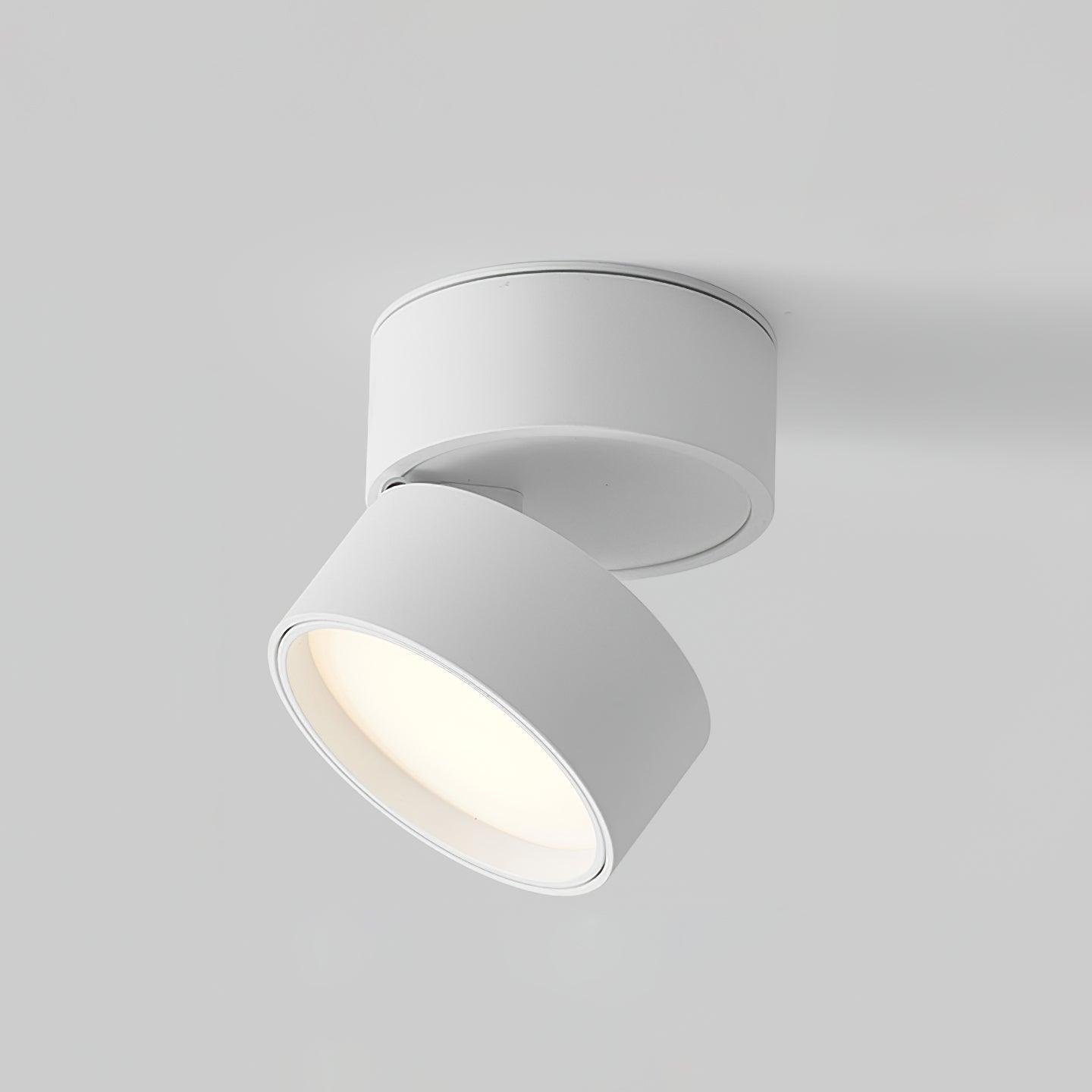 Surface-Mounted LED Ceiling Light