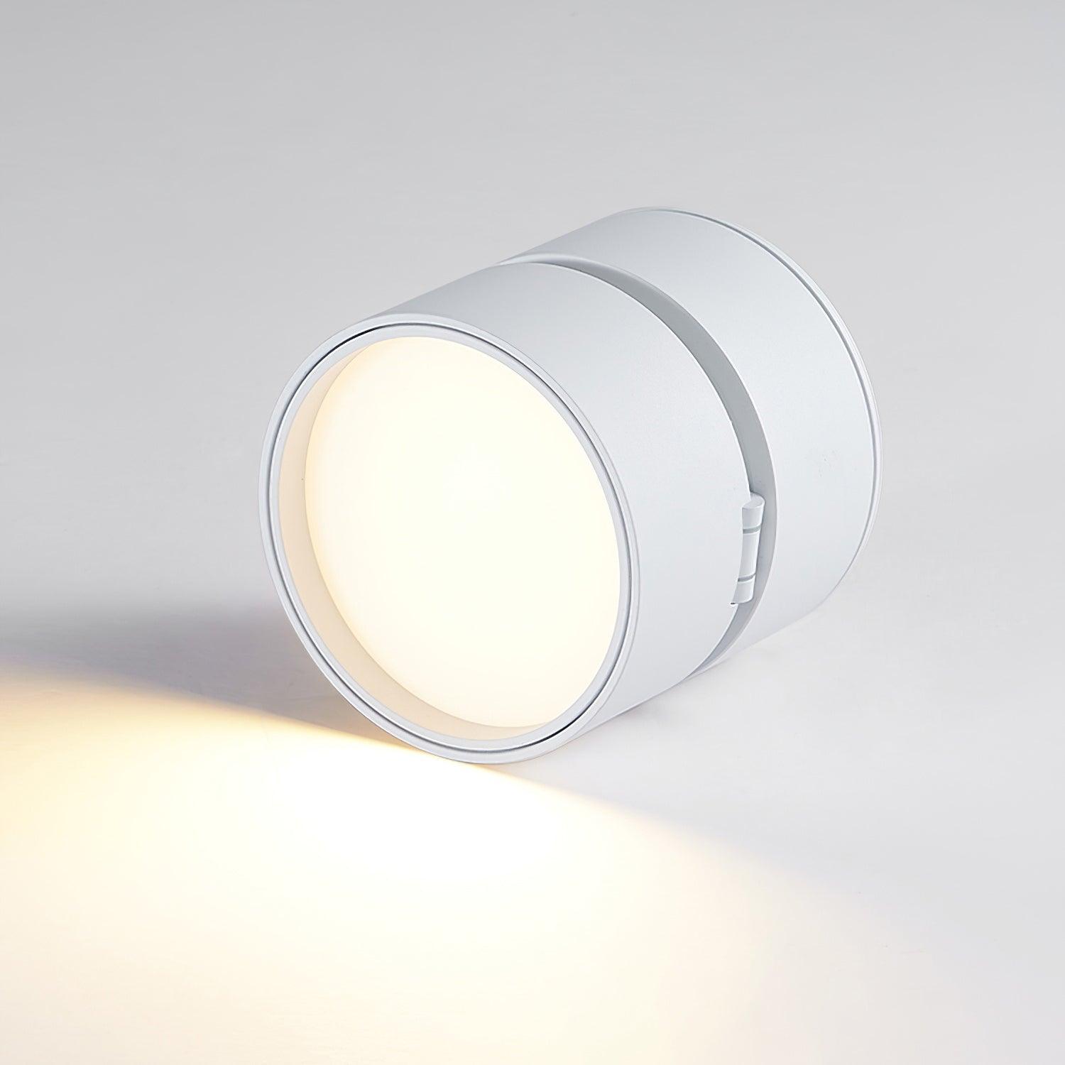 Surface-Mounted LED Ceiling Light