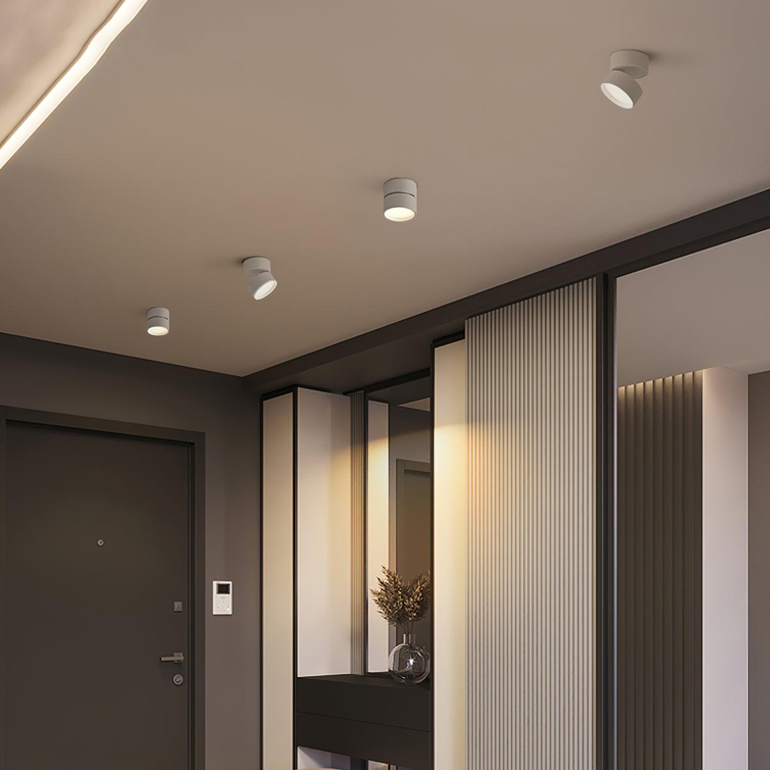 Surface-Mounted LED Ceiling Light