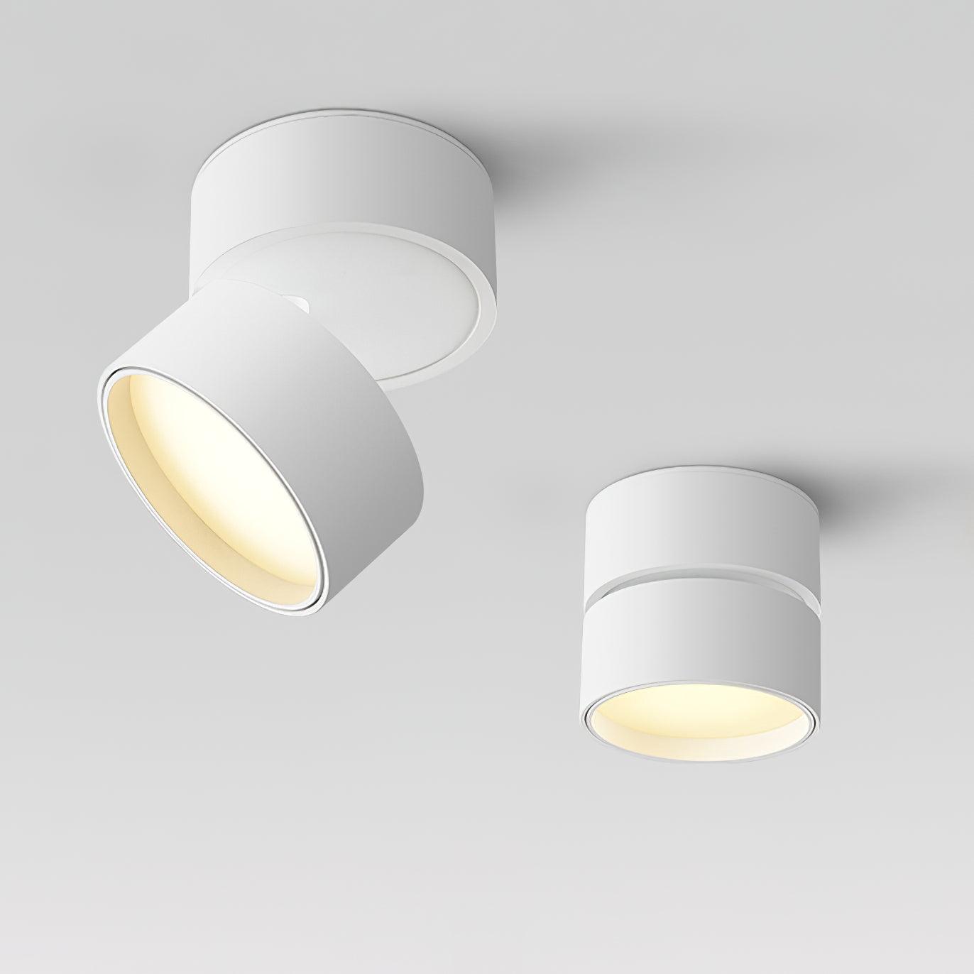 Surface-Mounted LED Ceiling Light