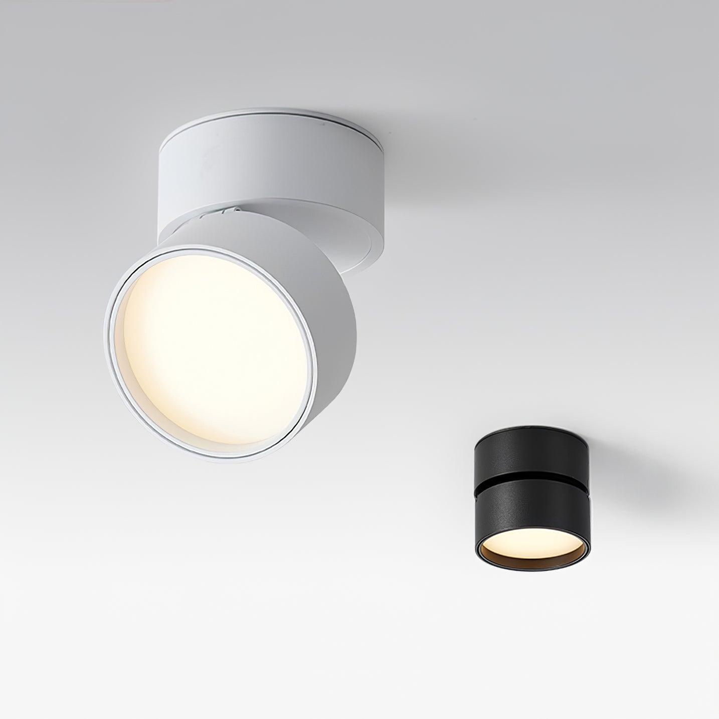 Surface-Mounted LED Ceiling Light