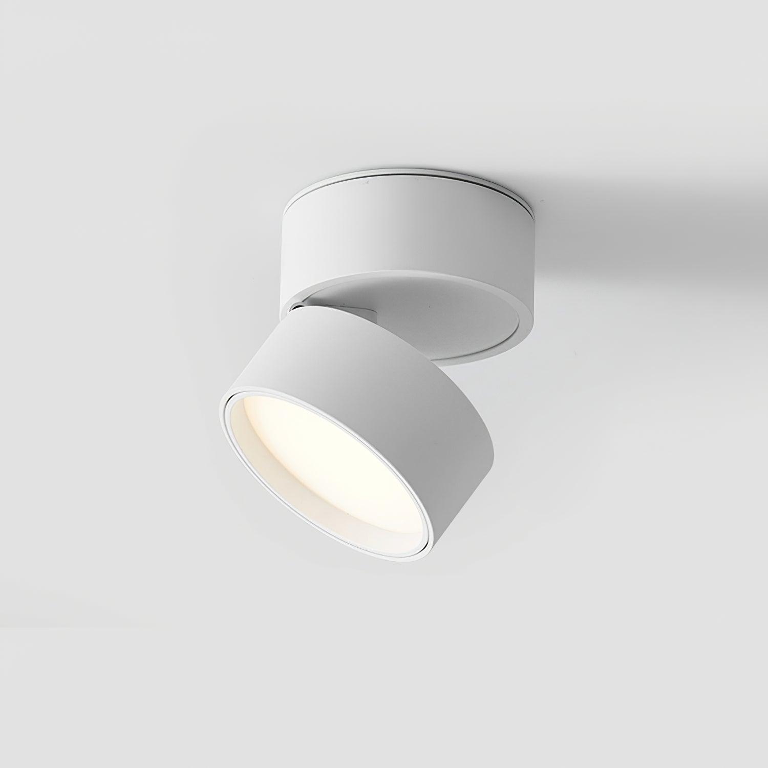 Surface-Mounted LED Ceiling Light