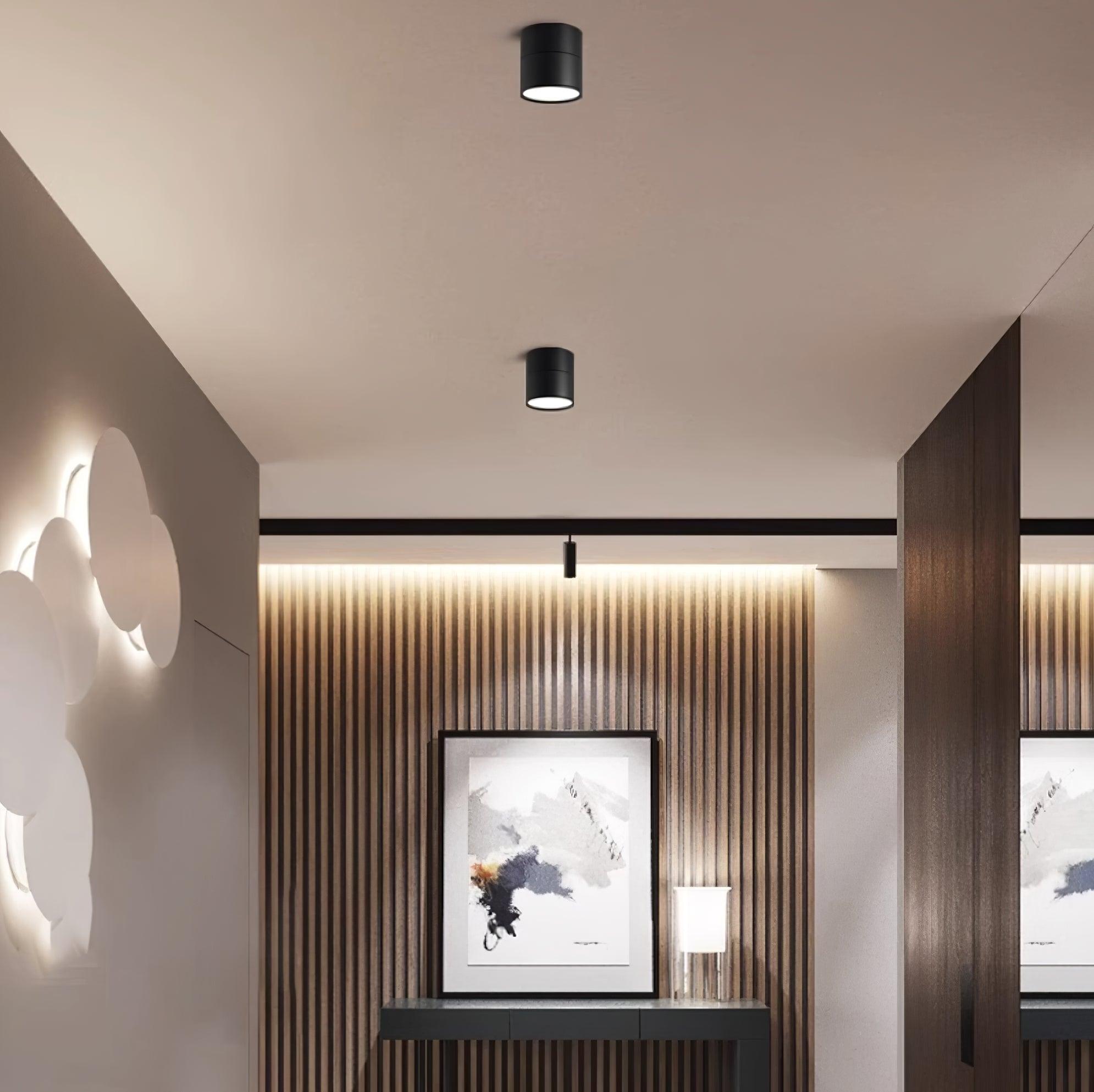 Surface-Mounted LED Ceiling Light