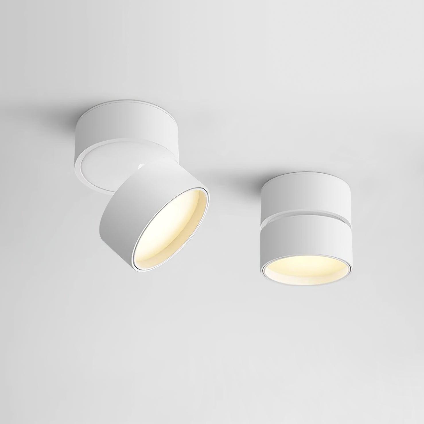 Surface-Mounted LED Ceiling Light
