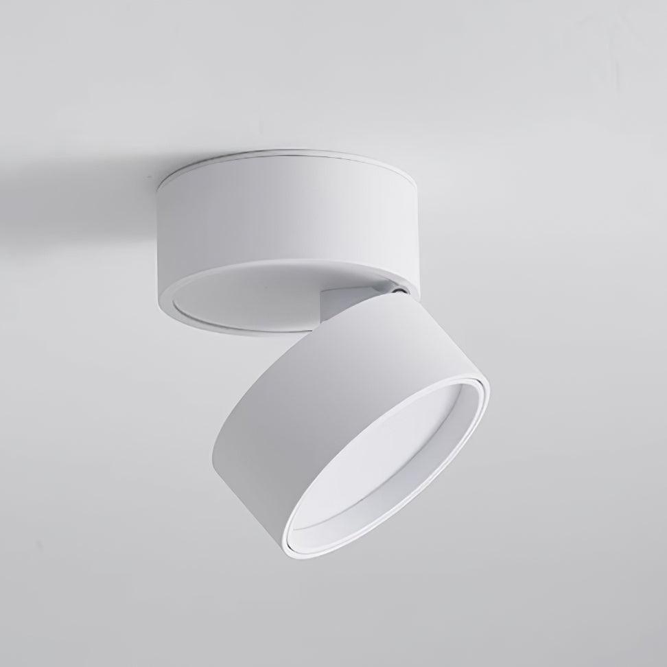 Surface-Mounted LED Ceiling Light