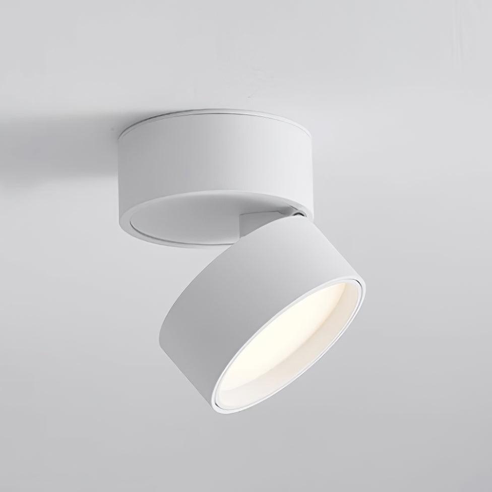 Surface-Mounted LED Ceiling Light