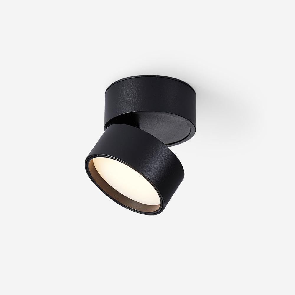 Surface-Mounted LED Ceiling Light