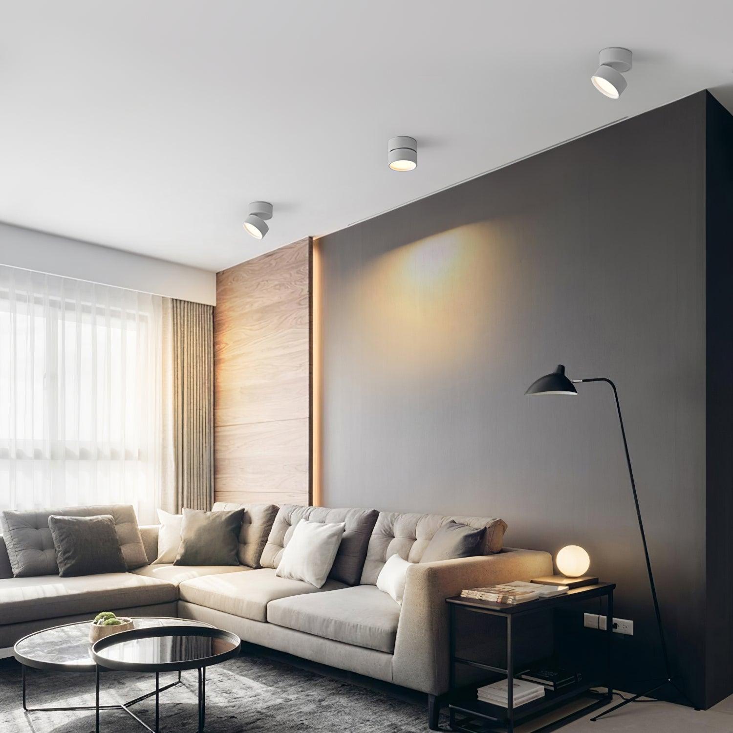 Surface-Mounted LED Ceiling Light