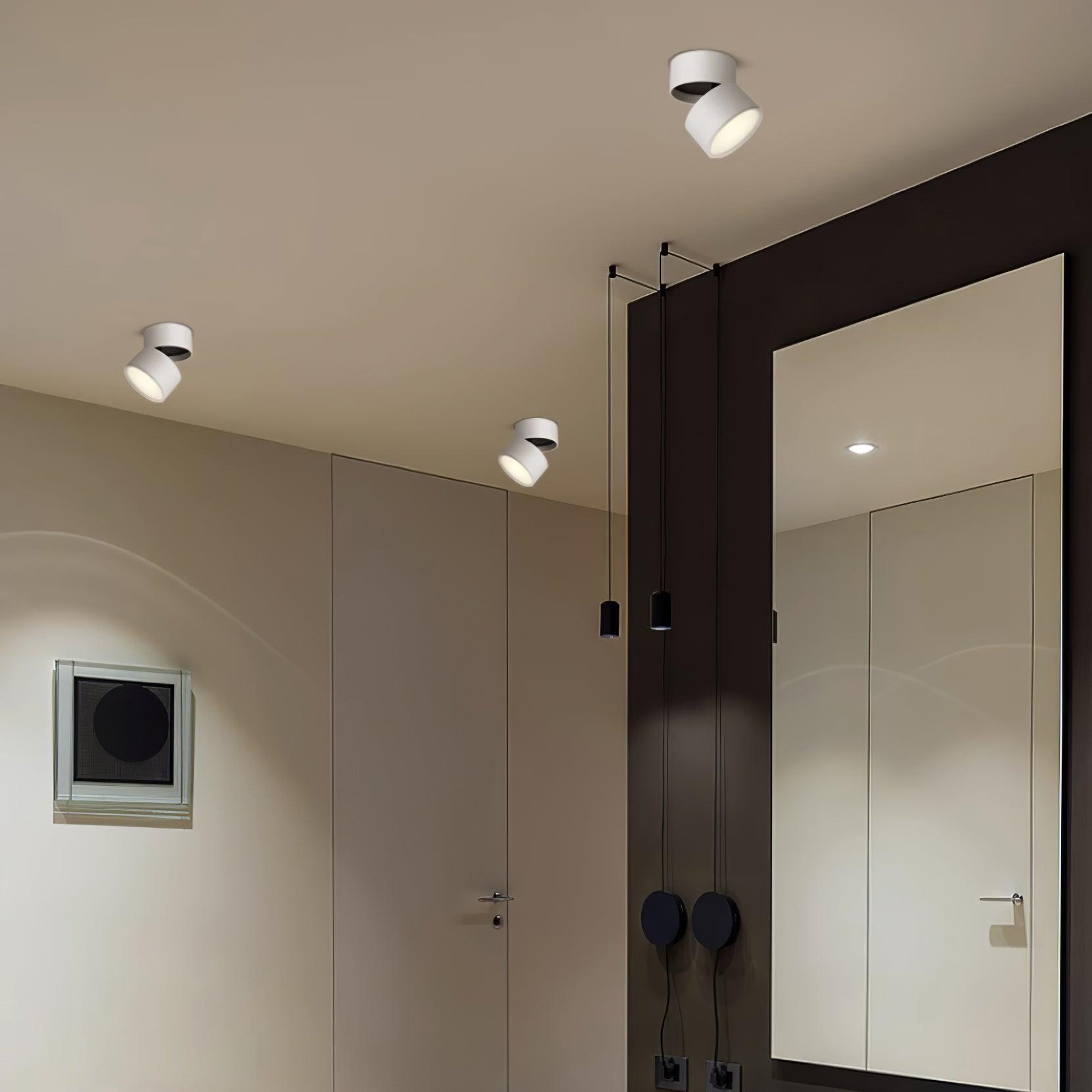 Surface-Mounted LED Ceiling Light