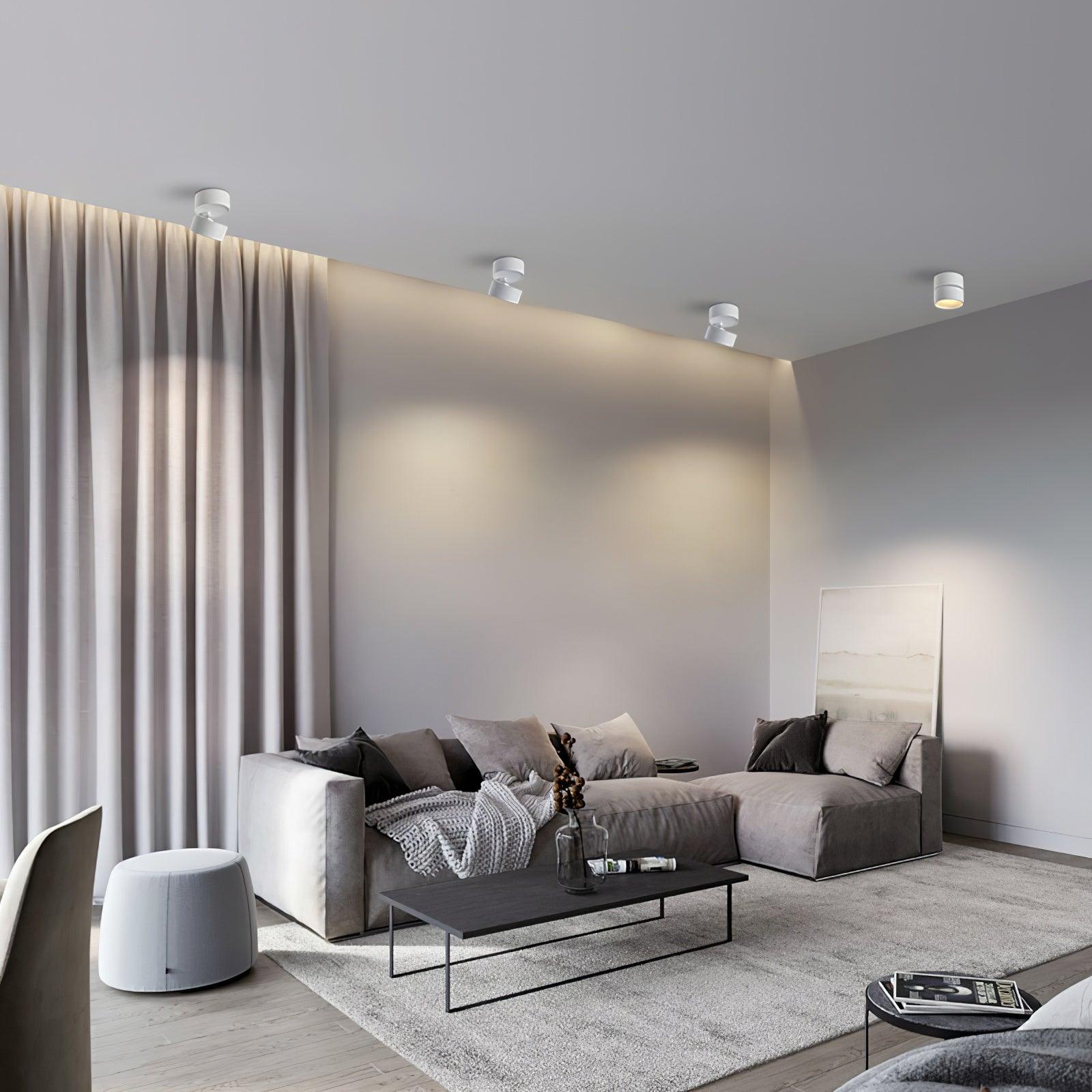 Surface-Mounted LED Ceiling Light