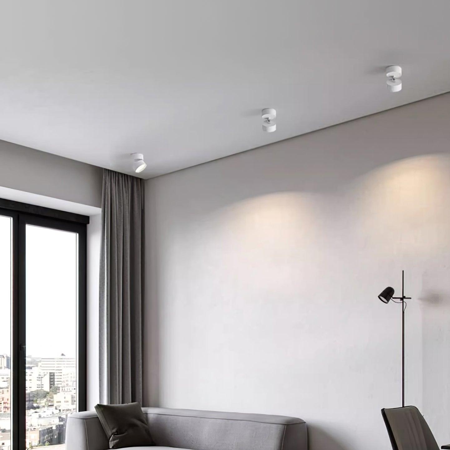 Surface-Mounted LED Ceiling Light