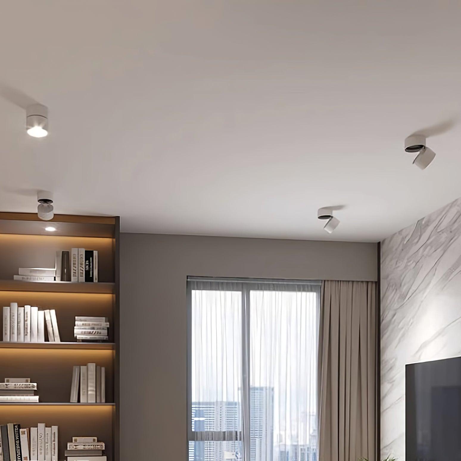 Surface-Mounted LED Ceiling Light