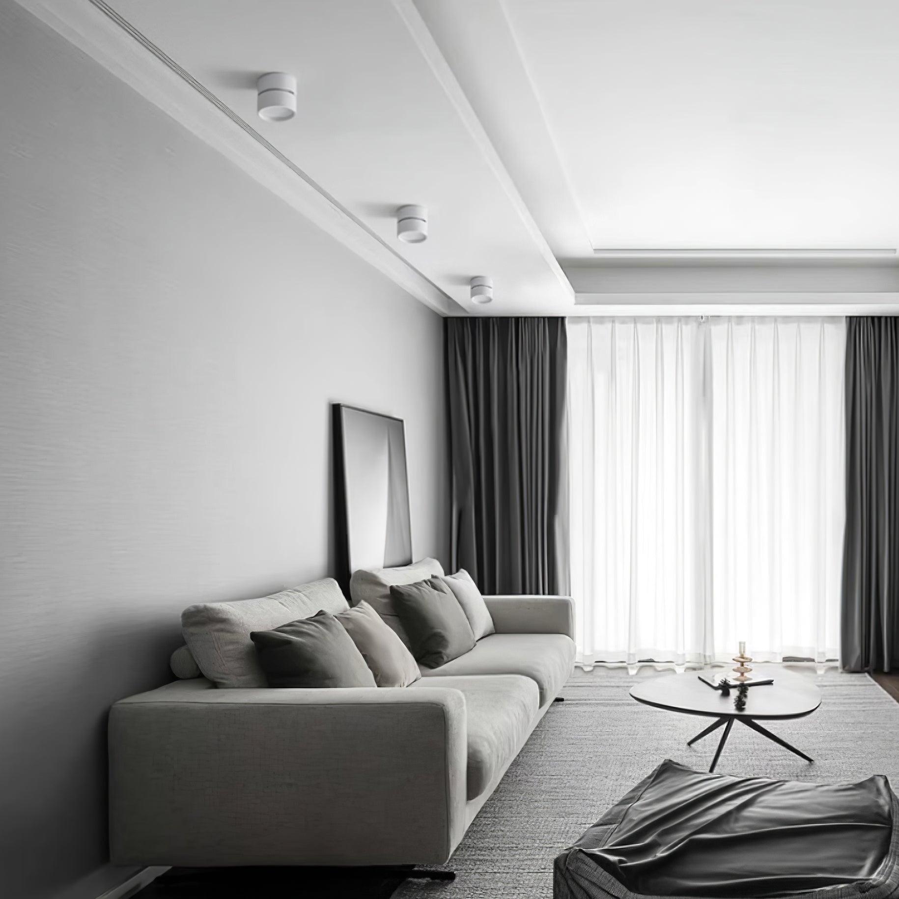 Surface-Mounted LED Ceiling Light