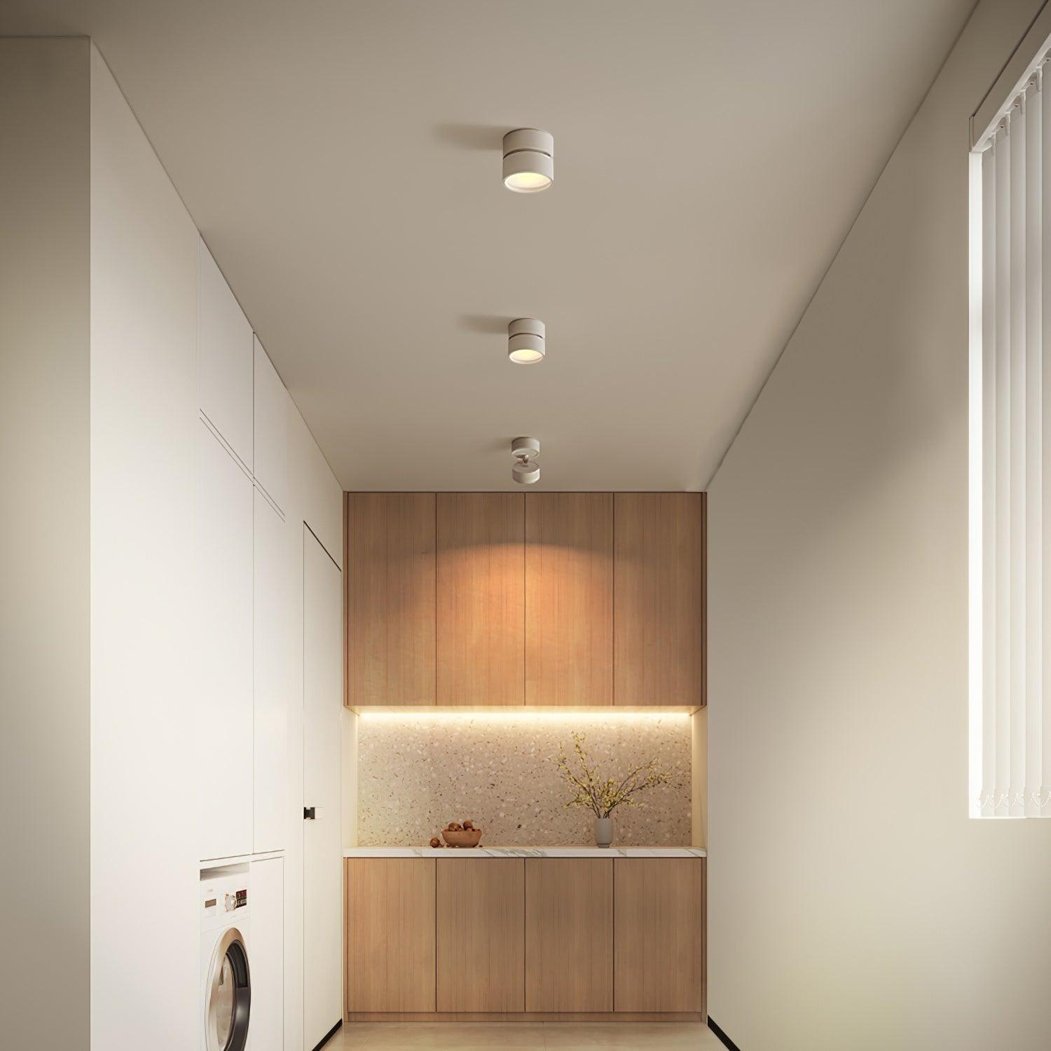 Surface-Mounted LED Ceiling Light