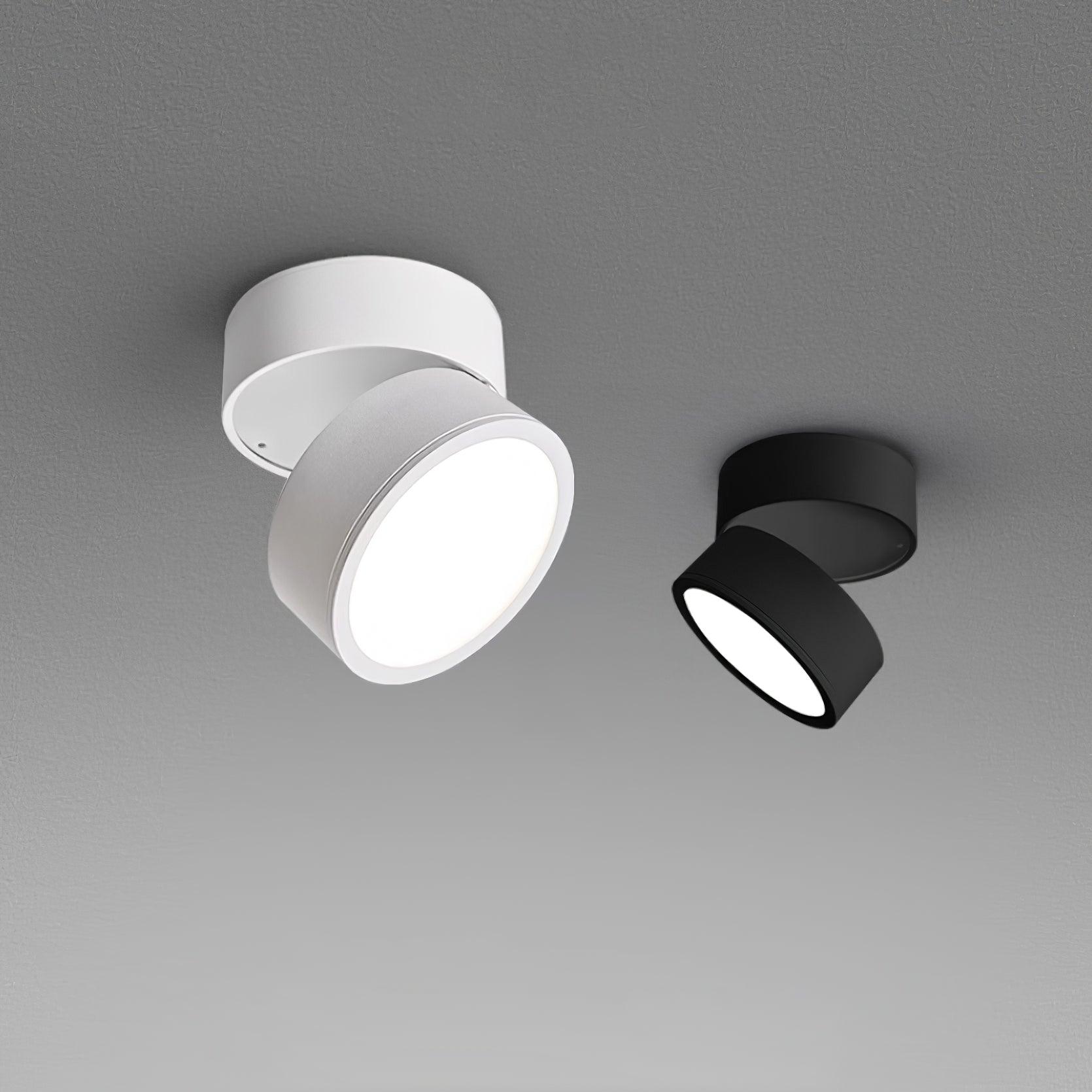 Surface-Mounted LED Ceiling Light