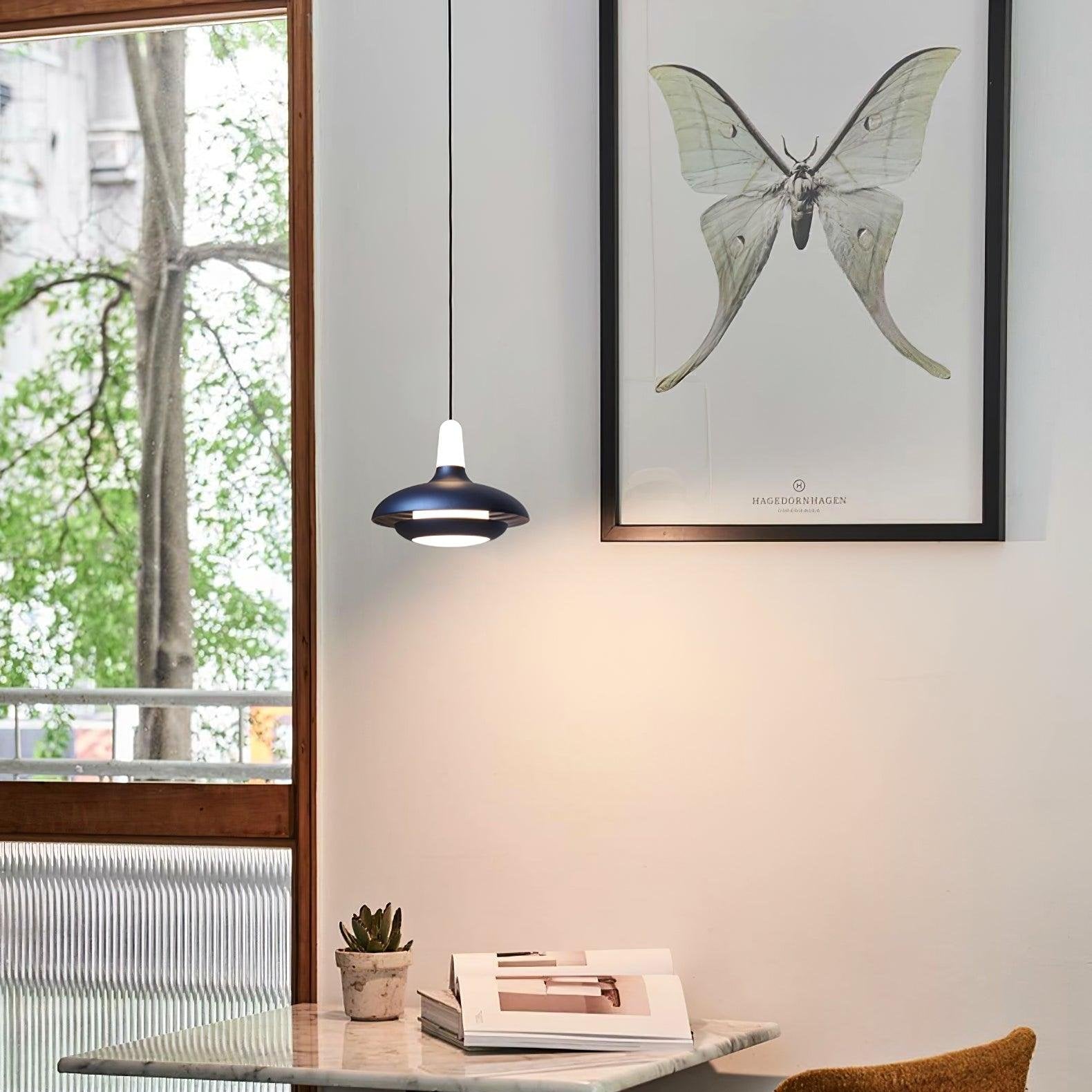 Fiji-Inspired Pendant Light