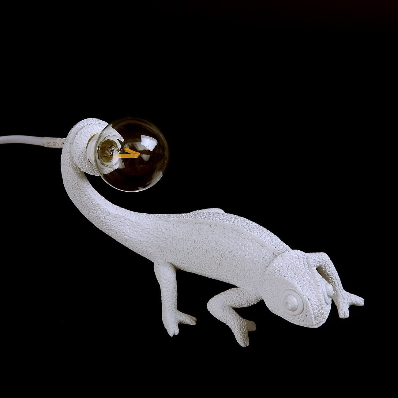 Unique Resin Lizard Table Lamp