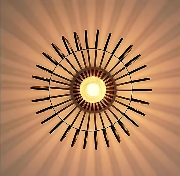 Versatile Stylish Ceiling Lamp