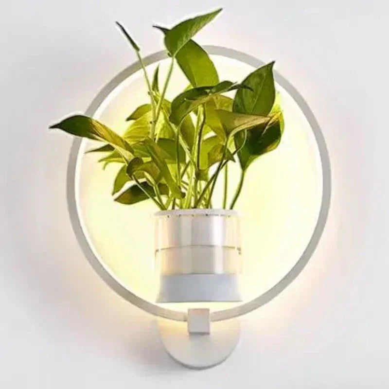 Indoor LED Wall Lamp with Integrated Plant Holder | Stylish Wall Lighting