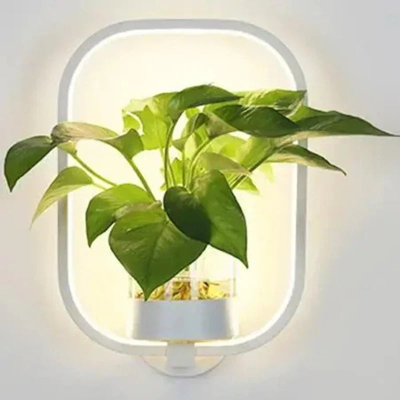 Indoor LED Wall Lamp with Integrated Plant Holder | Stylish Wall Lighting