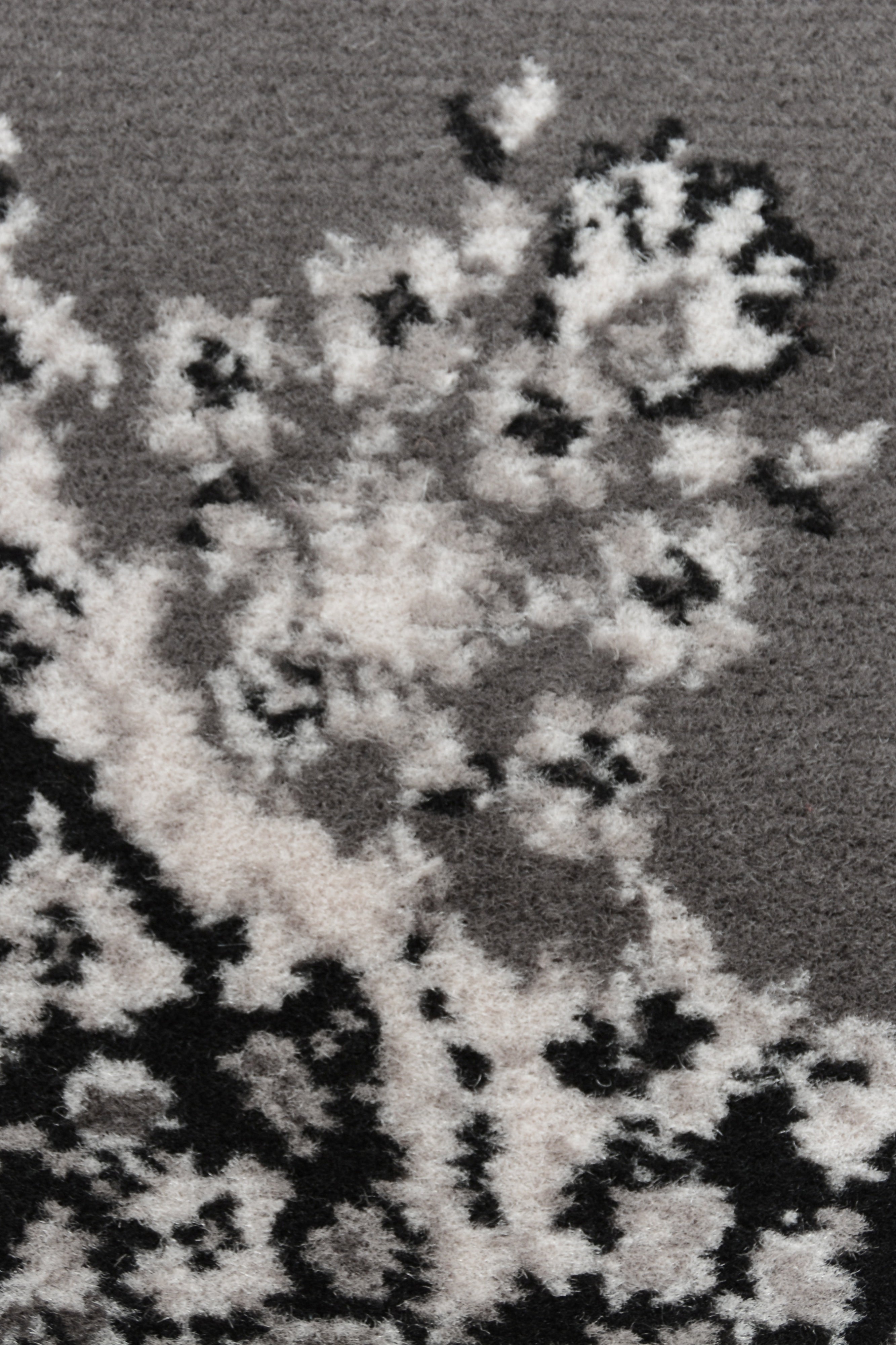 Classic Style Maestro Traditional Area Rug