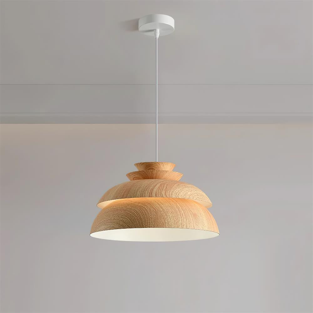 Modern Hanging Lamp | Nature-Inspired Design