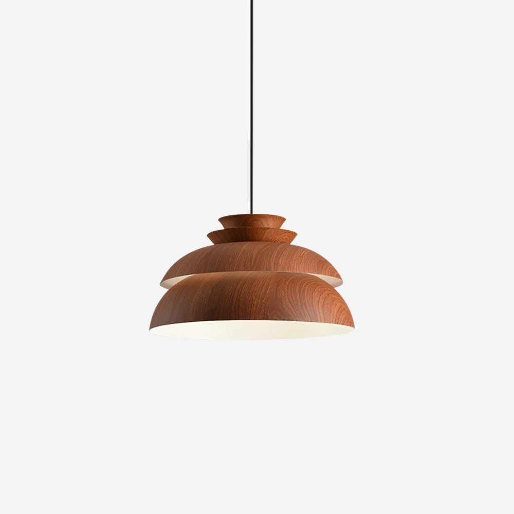 Modern Hanging Lamp | Nature-Inspired Design