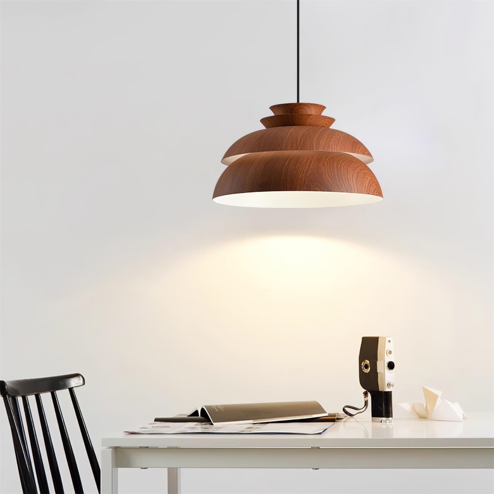 Modern Hanging Lamp | Nature-Inspired Design