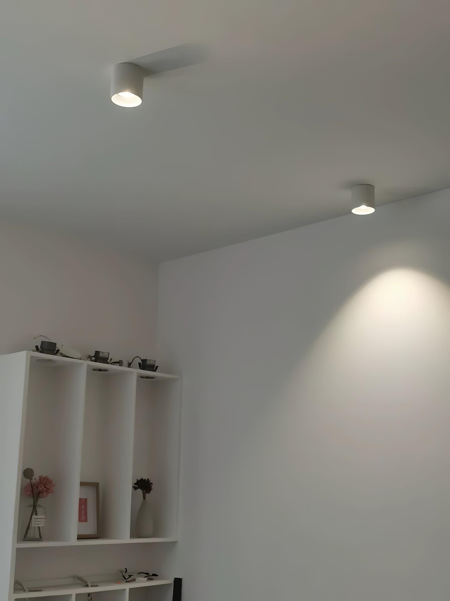 Modern Flush Mount Ceiling Lamp - Sleek Metal Frame with Acrylic Lens