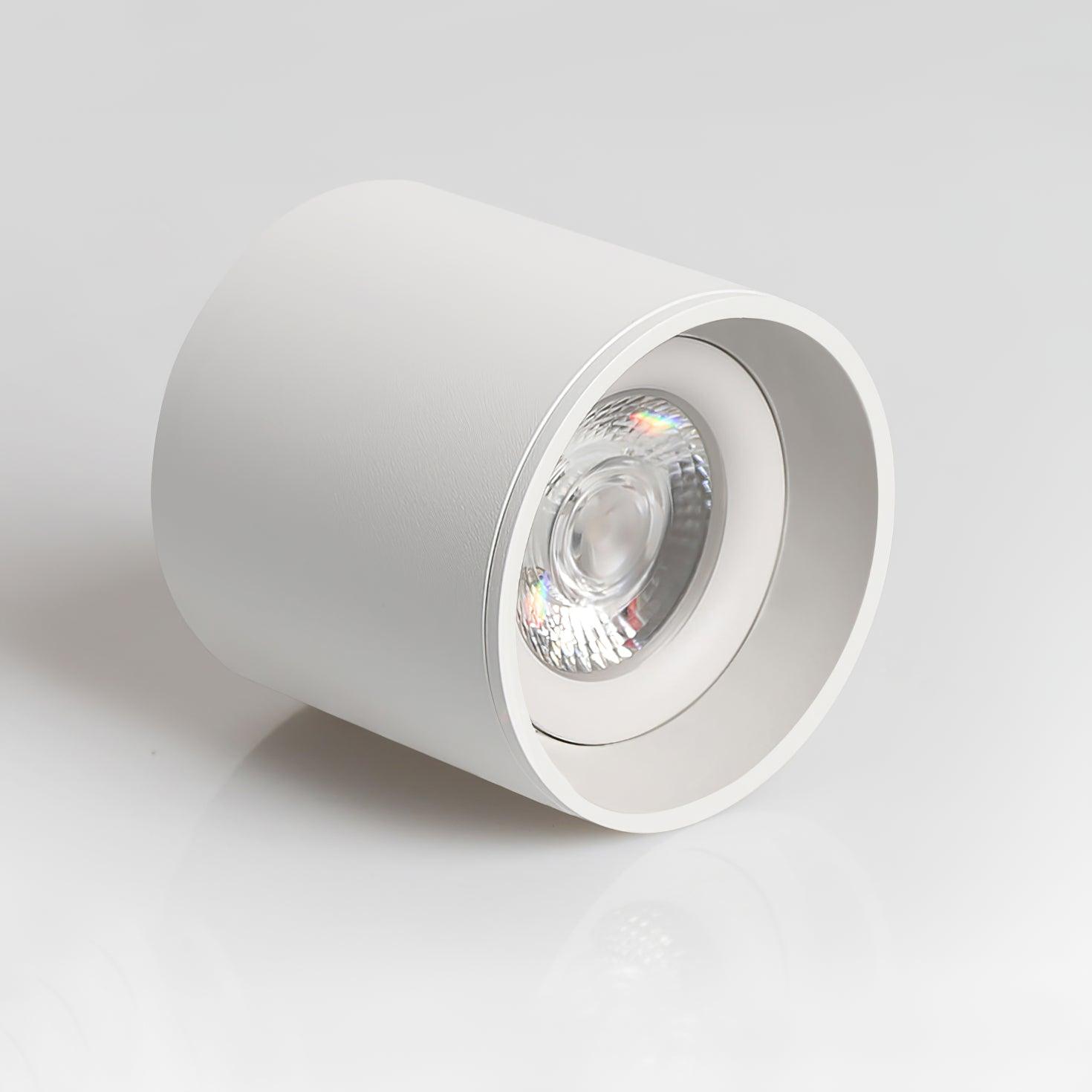 Modern Flush Mount Ceiling Lamp - Sleek Metal Frame with Acrylic Lens