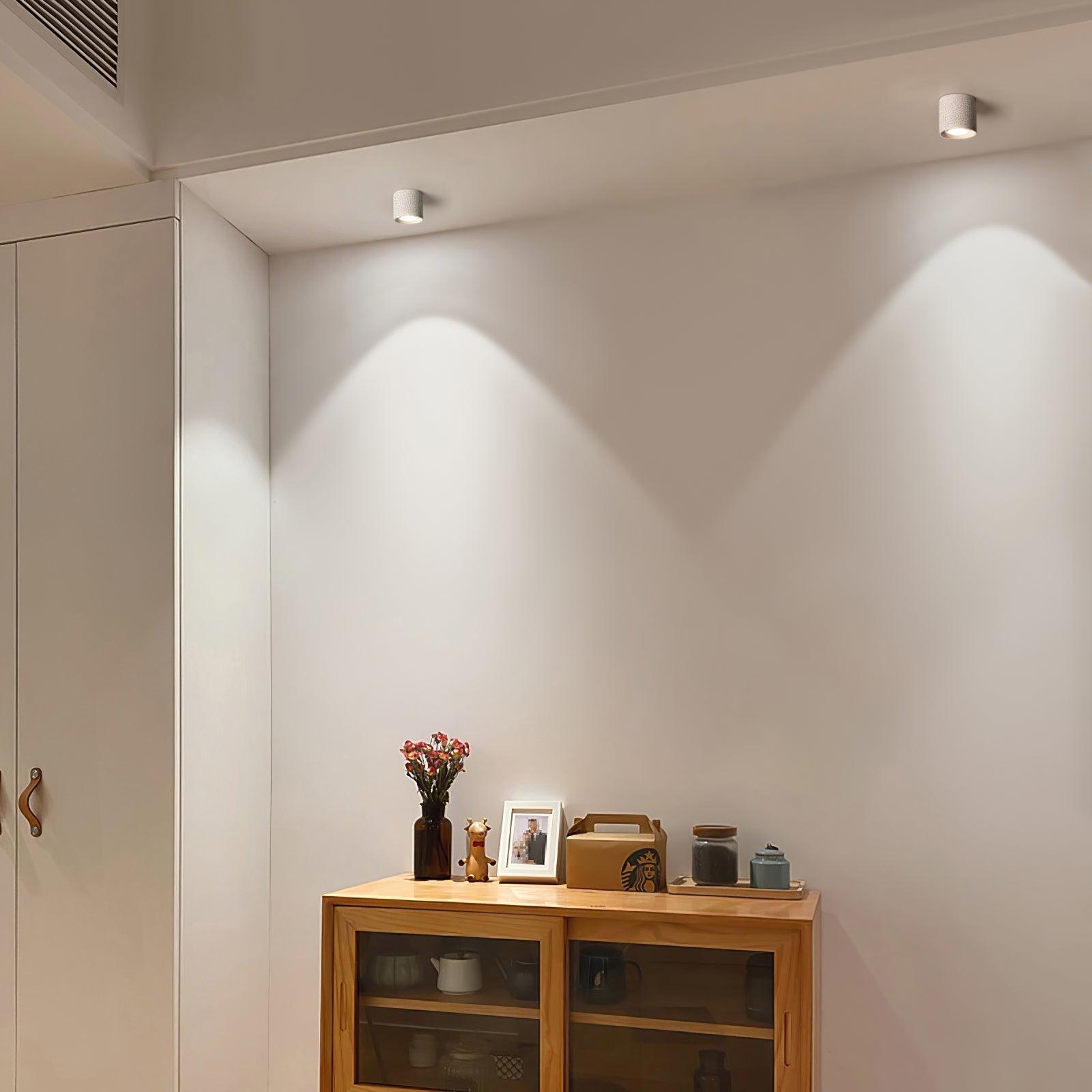 Modern Flush Mount Ceiling Lamp - Sleek Metal Frame with Acrylic Lens