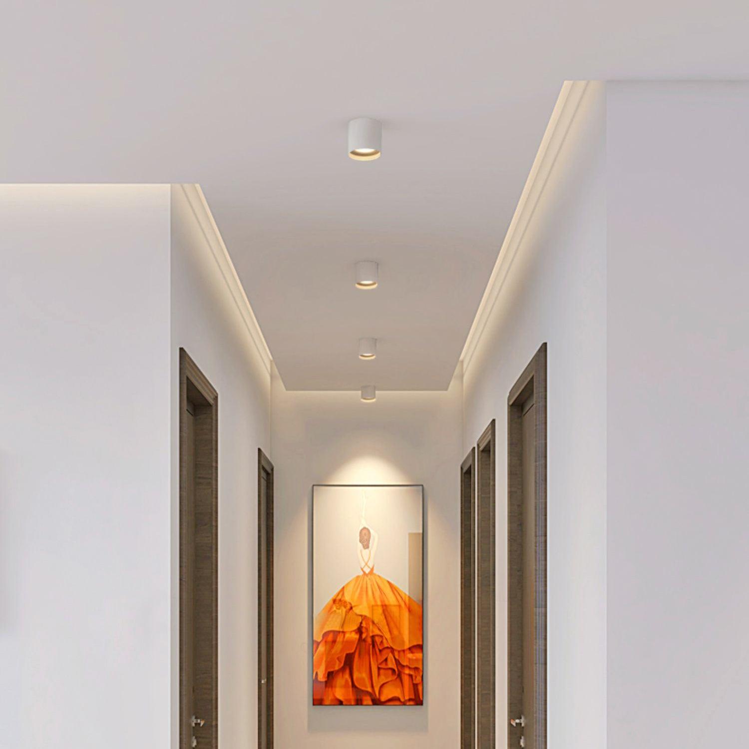 Modern Flush Mount Ceiling Lamp - Sleek Metal Frame with Acrylic Lens