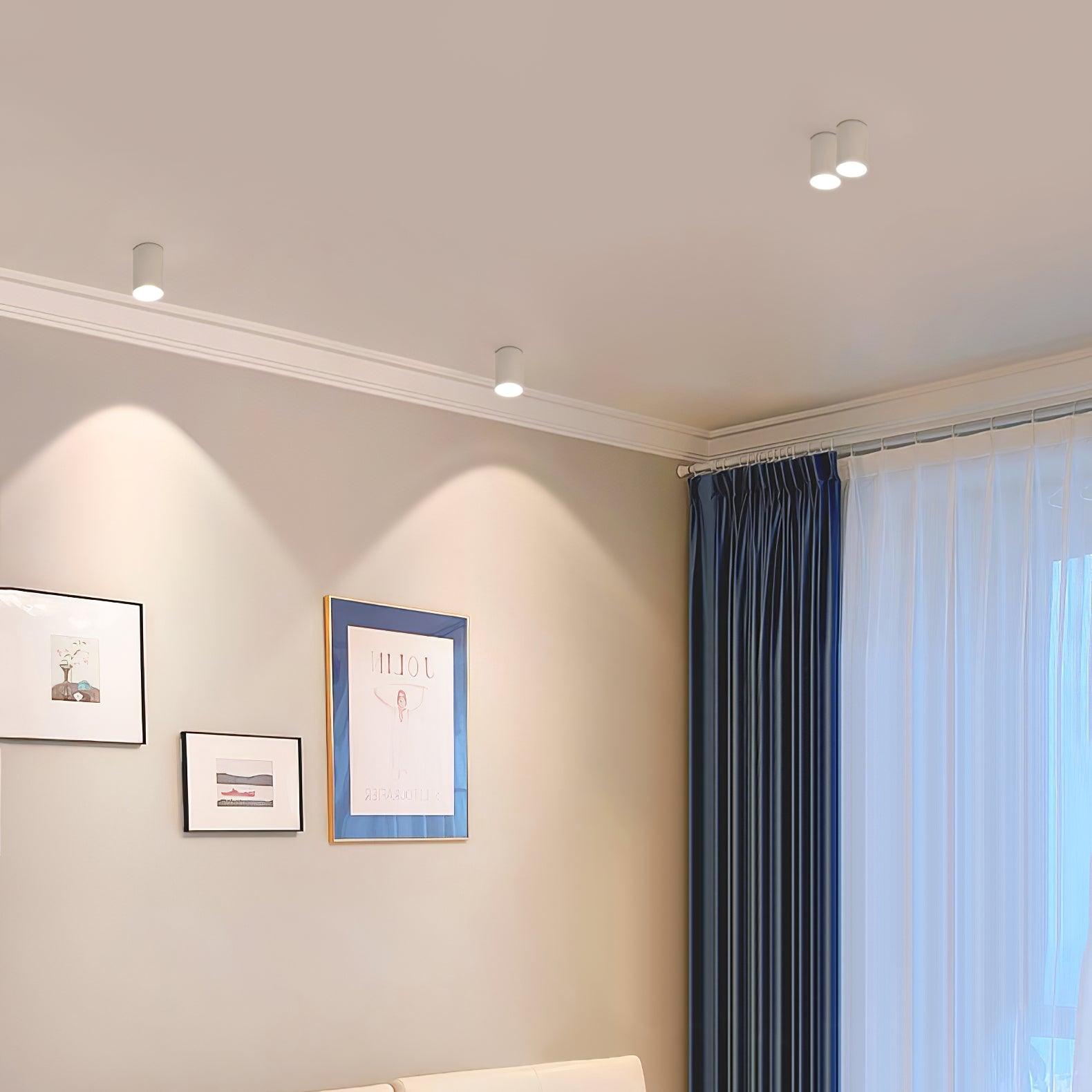 Modern Flush Mount Ceiling Lamp - Sleek Metal Frame with Acrylic Lens