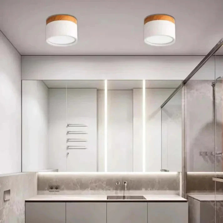 Compact Aluminum Cylinder LED Ceiling Light | Hallways