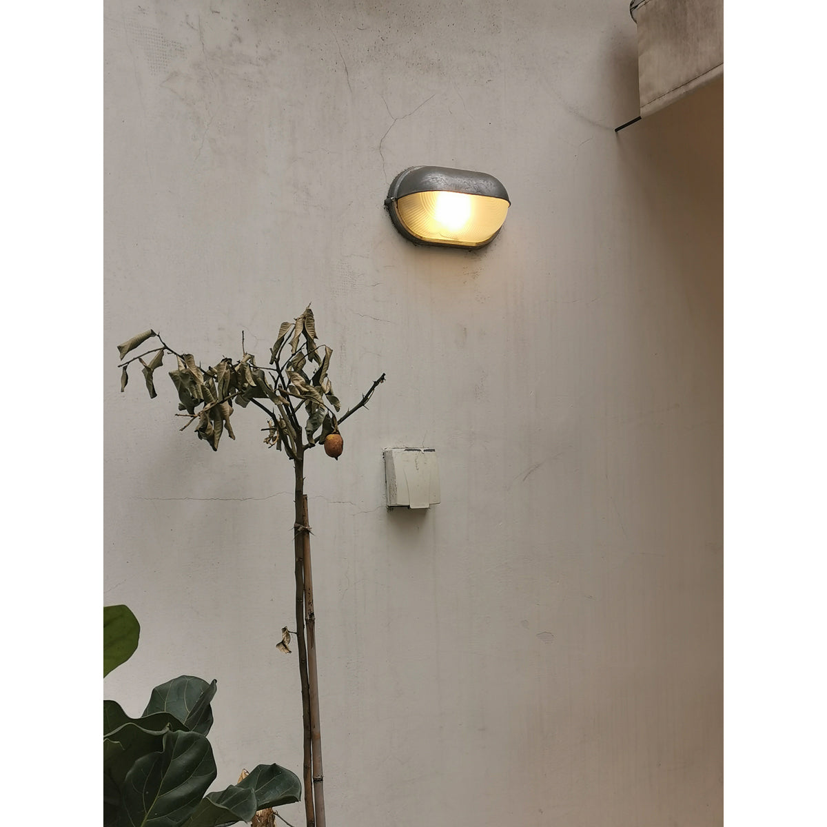Industrial Outdoor Wall Lamp with Glass Shade – Retro Aluminium Sconce Light