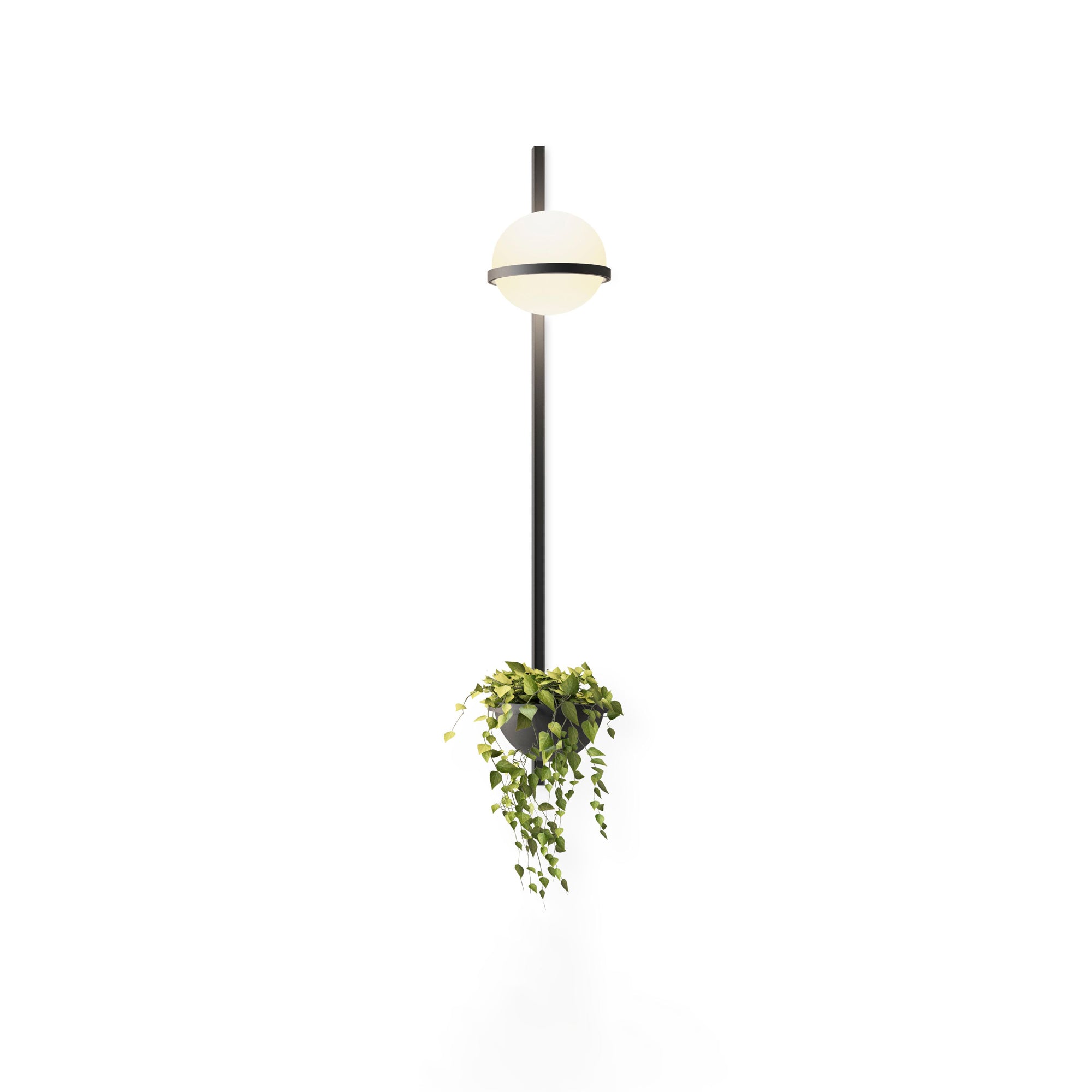 Sleek Globe-Style Outdoor Wall Light