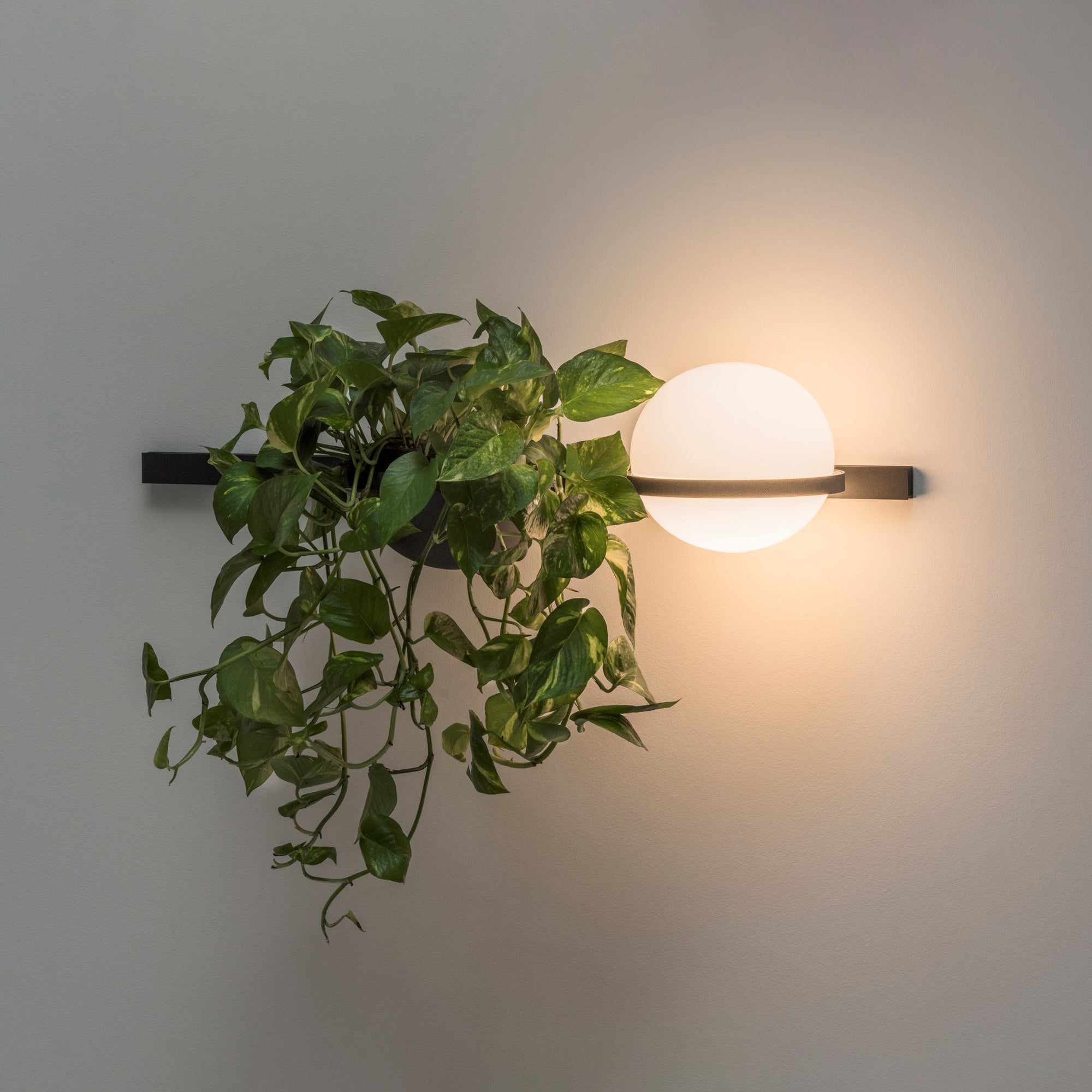 Sleek Globe-Style Outdoor Wall Light