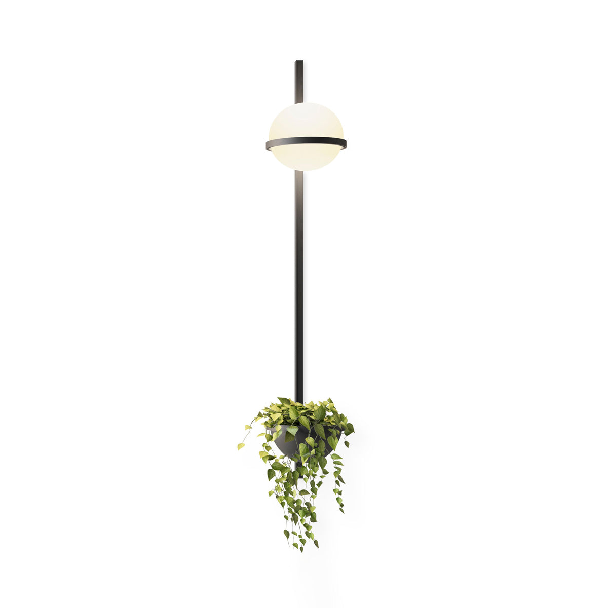 Sleek Globe-Style Outdoor Wall Light