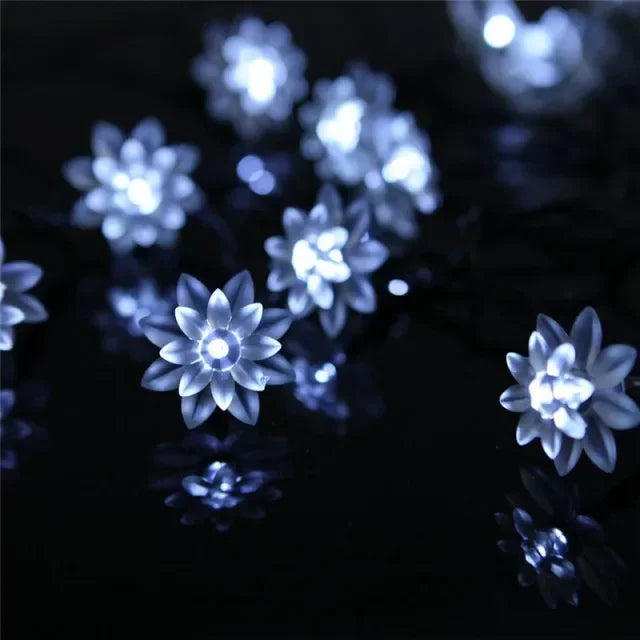 Colour-Changing Moroccan LED Christmas Lights | Multi-Color Garden Lighting